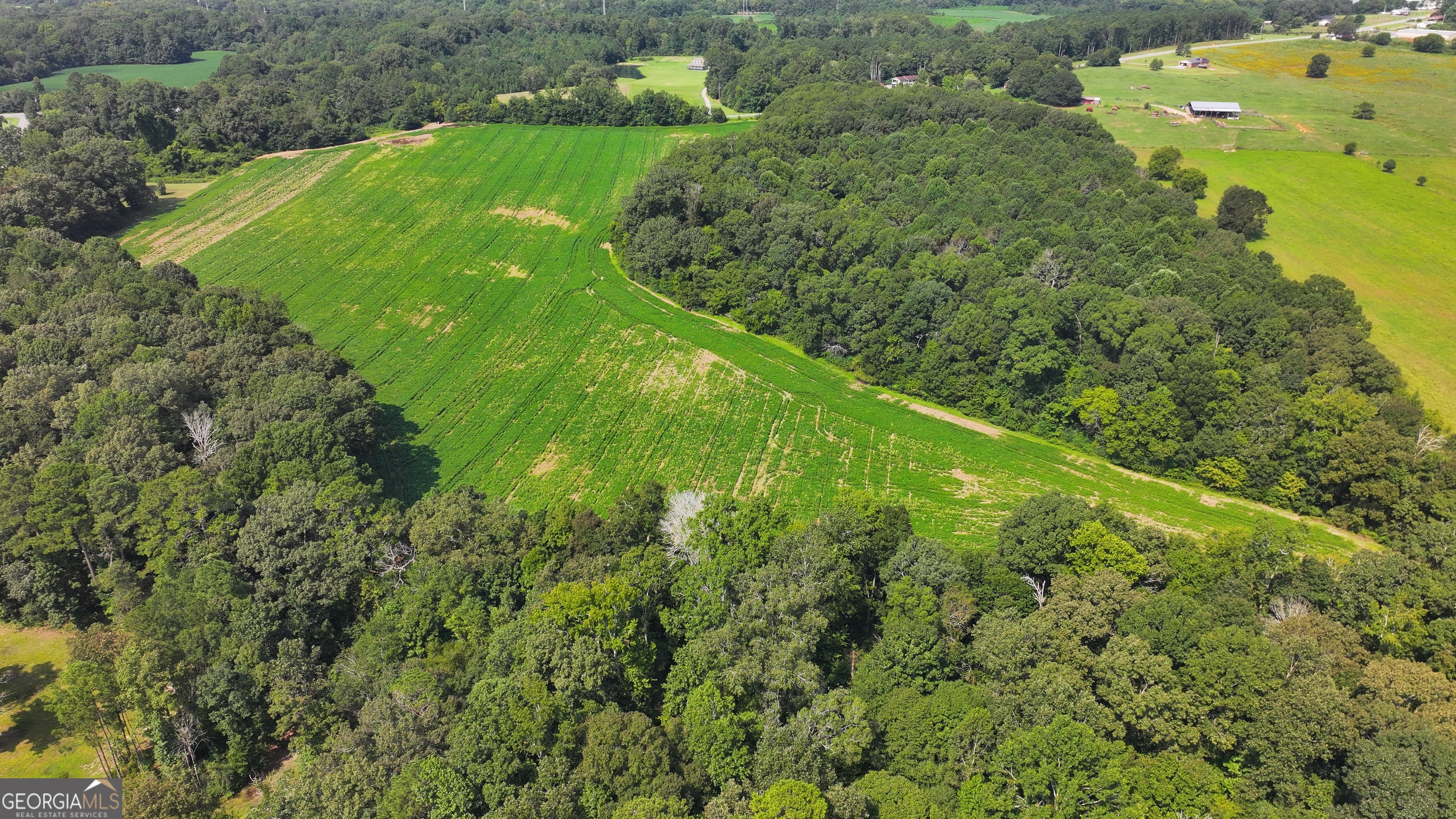 0 Sugar Valley Road Sugar Valley, GA 30746 - Photo 13 of 14 a view of a garden with a building