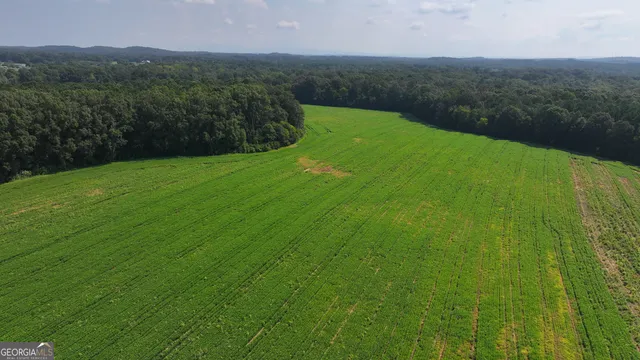 a view of a green field with mountains in the background