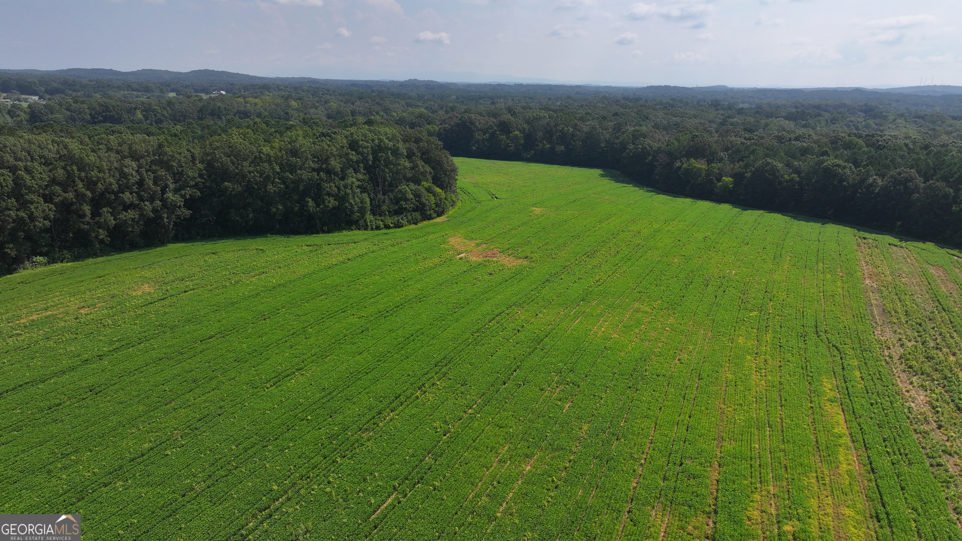 0 Sugar Valley Road Sugar Valley, GA 30746 - Photo 3 of 14 a view of a green field with mountains in the background