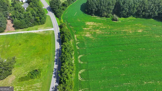 a view of a trees with a yard