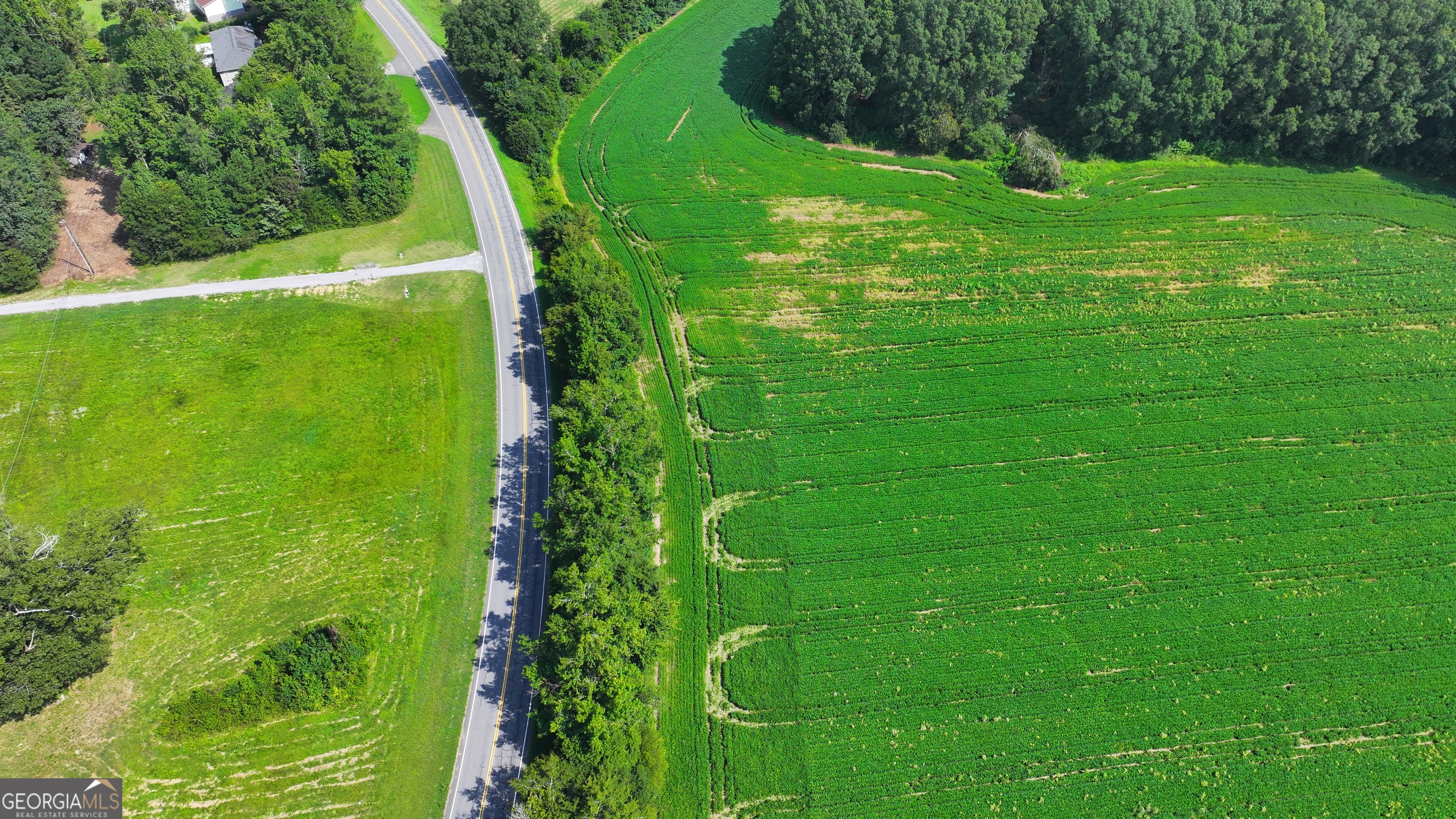 0 Sugar Valley Road Sugar Valley, GA 30746 - Photo 5 of 14 a view of a trees with a yard