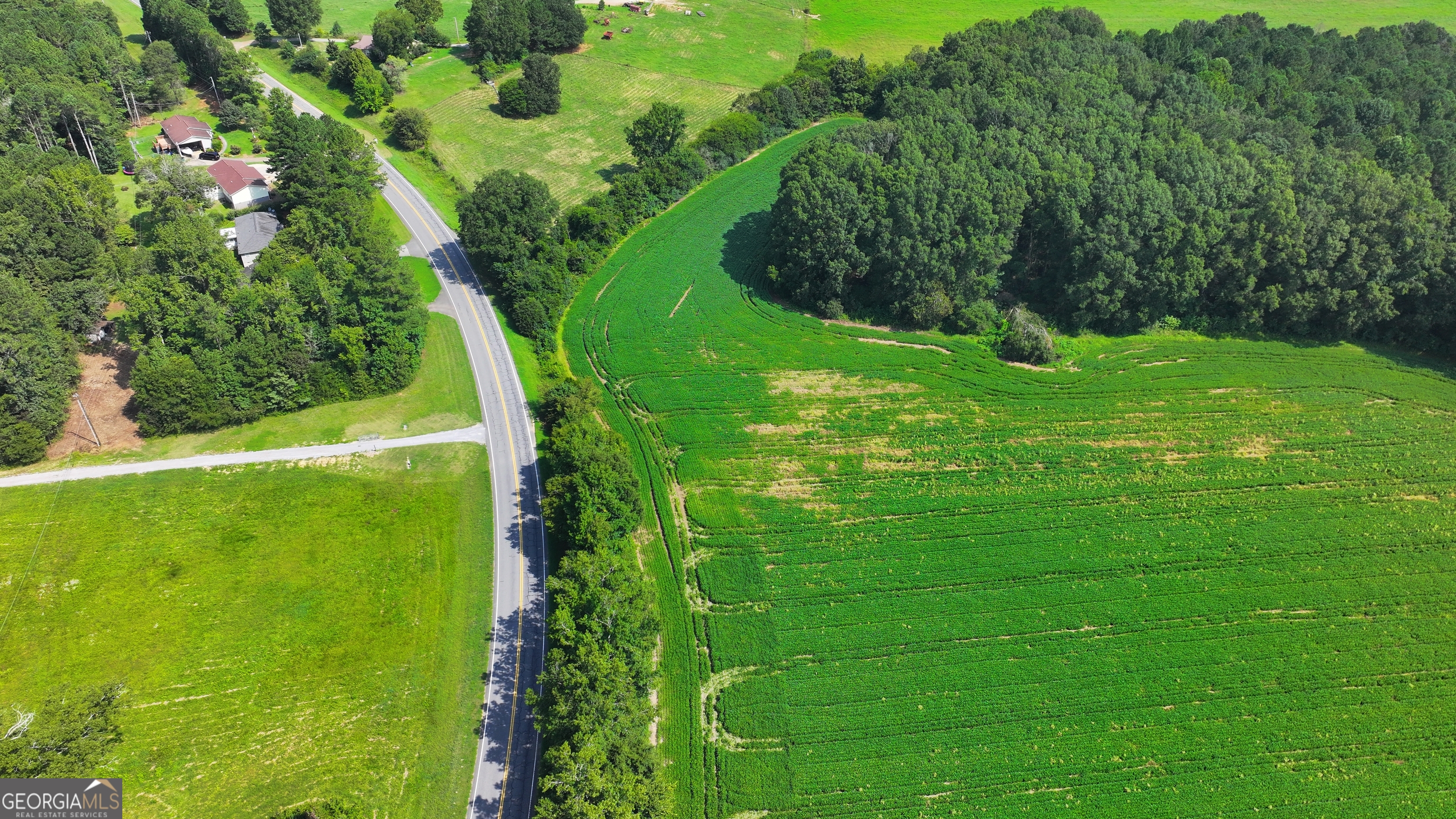 0 Sugar Valley Road Sugar Valley, GA 30746 - Photo 6 of 14 a view of a garden