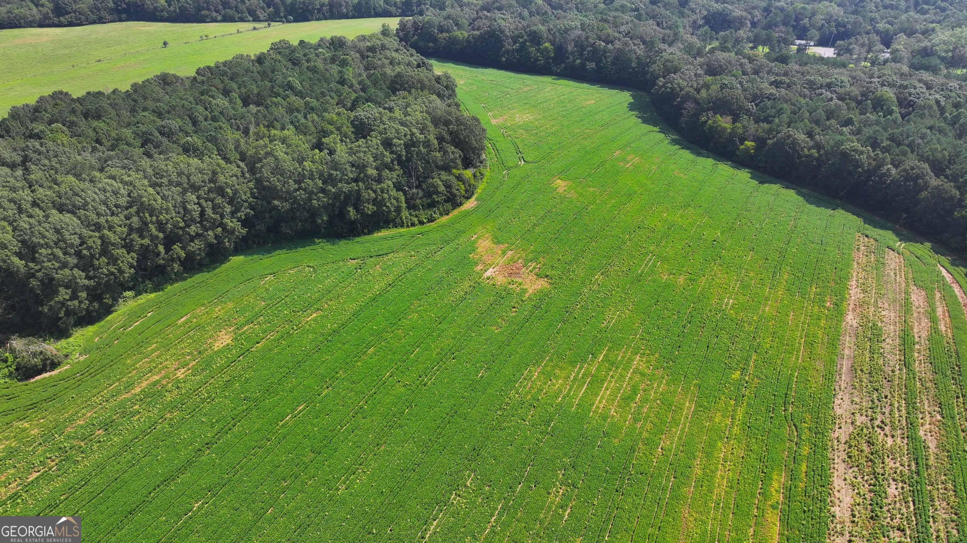 0 Sugar Valley Road Sugar Valley, GA 30746 - Photo 7 of 14 a view of a golf course with a garden