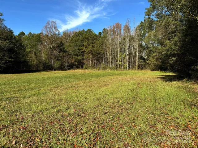 a view of a field with trees in the background