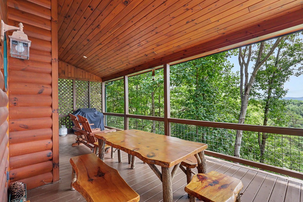 1259 My Mountain Road Morganton, GA 30560 - Photo 29 of 79 Gallery Image 29