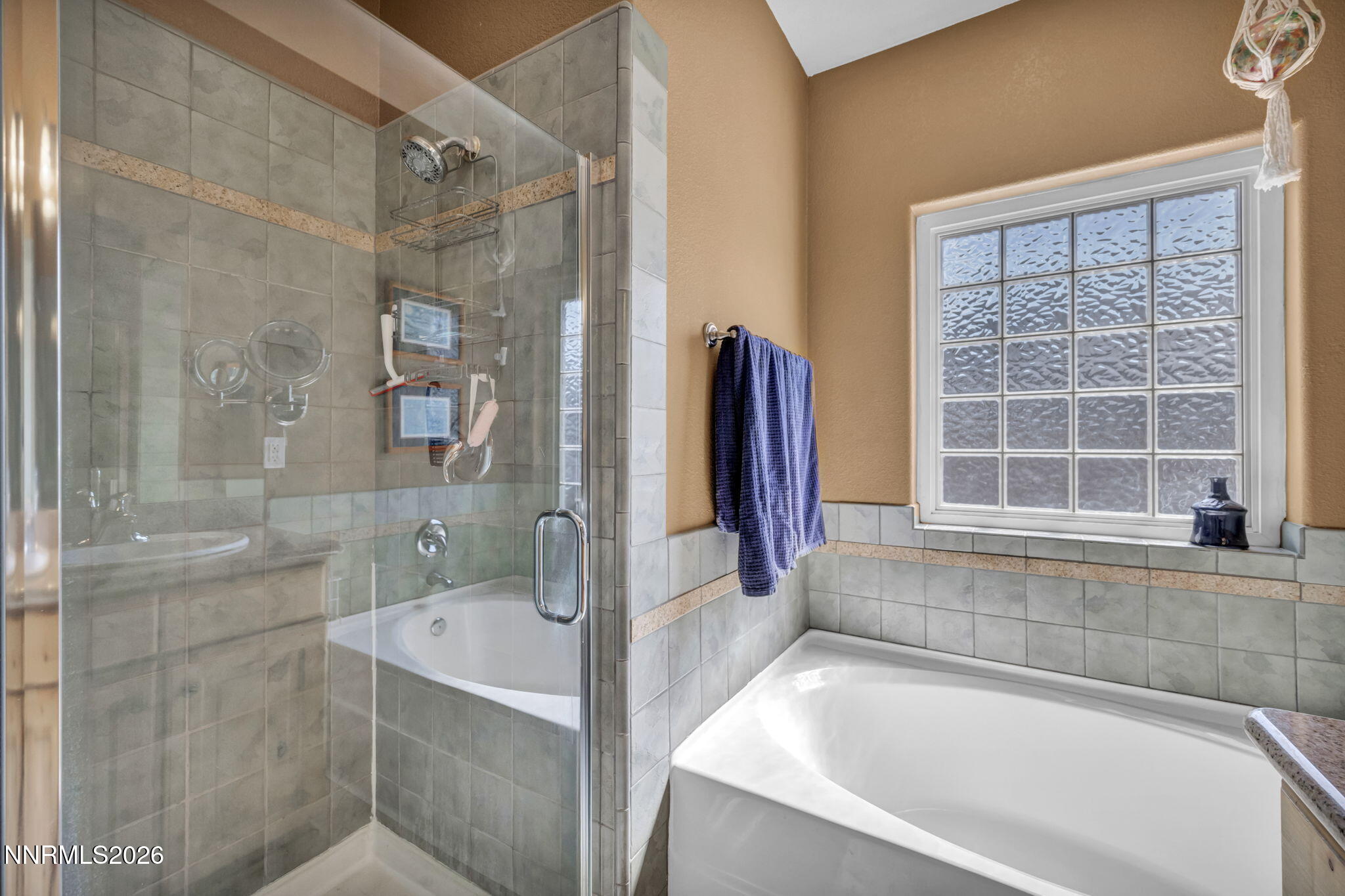 1007 Ryegrass Road Dayton, NV 89403 - Photo 24 of 39 80-web-or-mls-1007-ryegrass-rd
