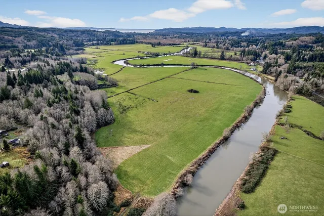 a view of a swimming pool with a lake