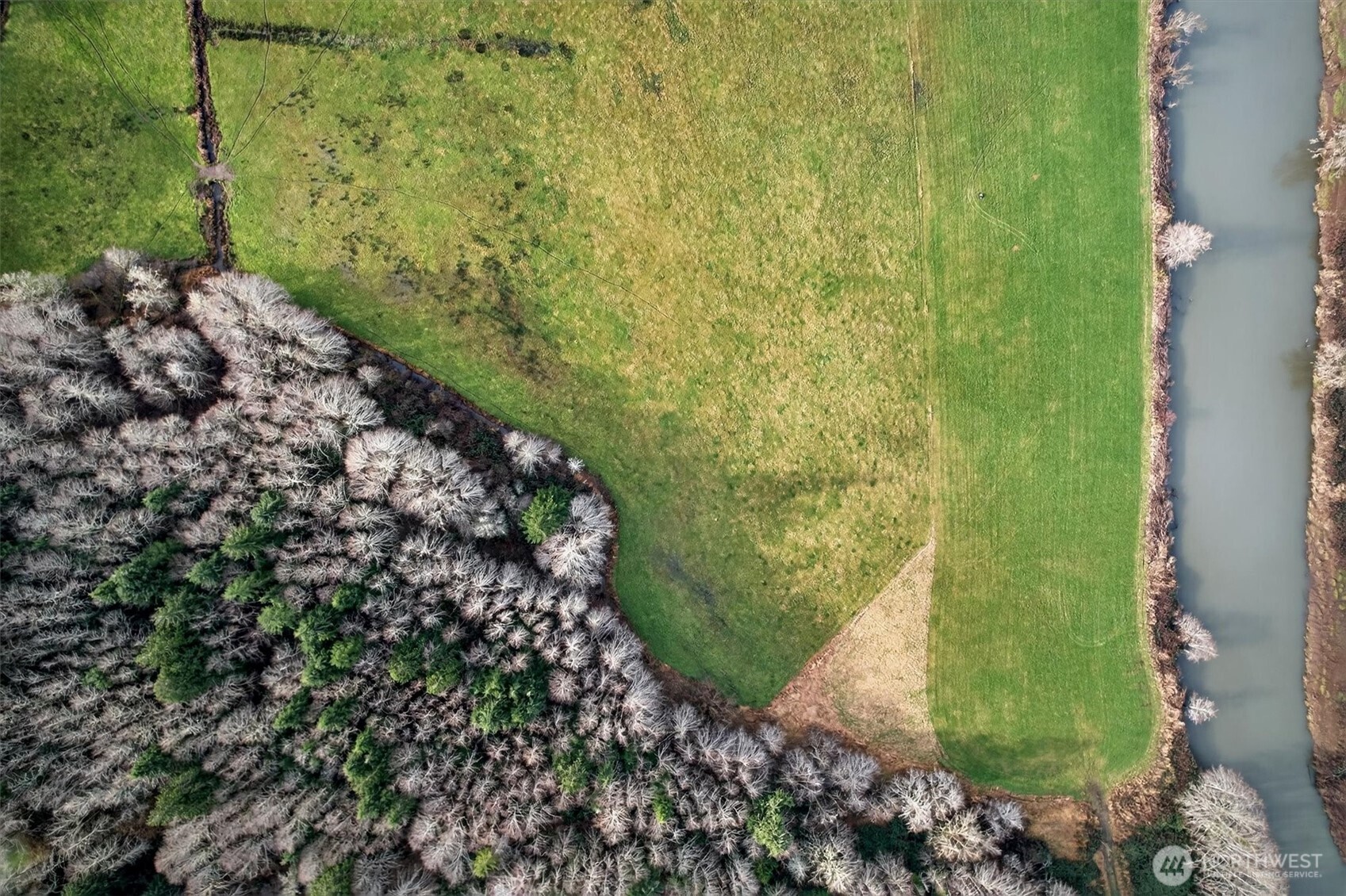 163 Barr Road Rosburg, WA 98643 - Photo 11 of 19 a view of a garden