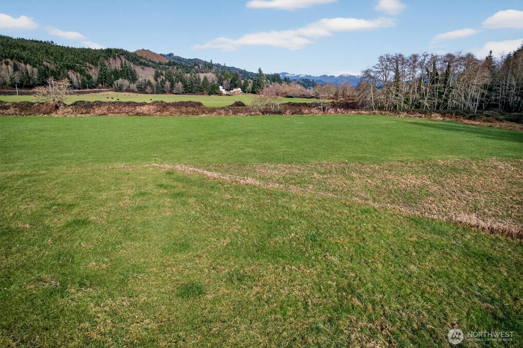 163 Barr Road Rosburg, WA 98643 - Photo 12 of 19 a view of an outdoor space and a yard