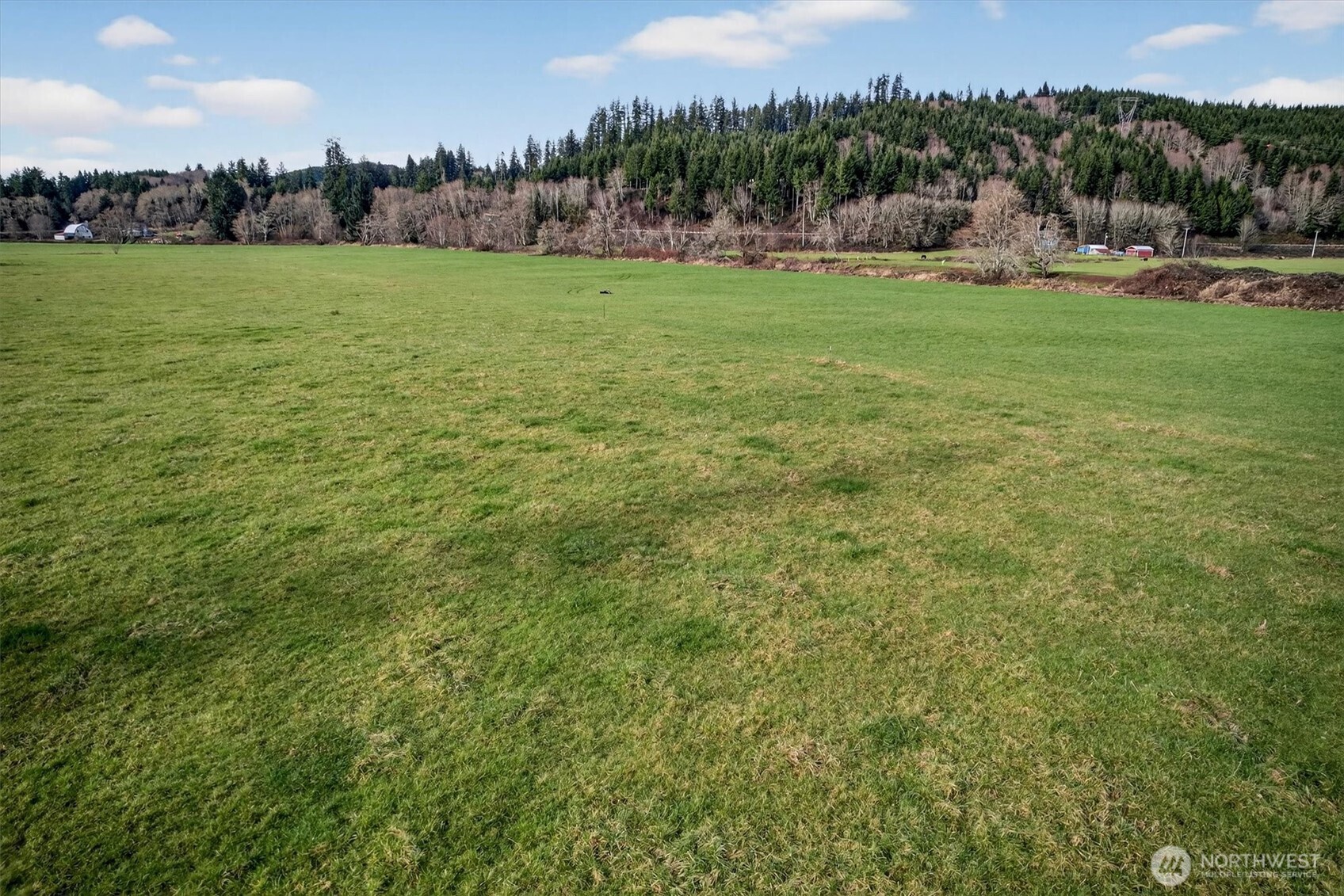 163 Barr Road Rosburg, WA 98643 - Photo 13 of 19 a view of outdoor space and yard