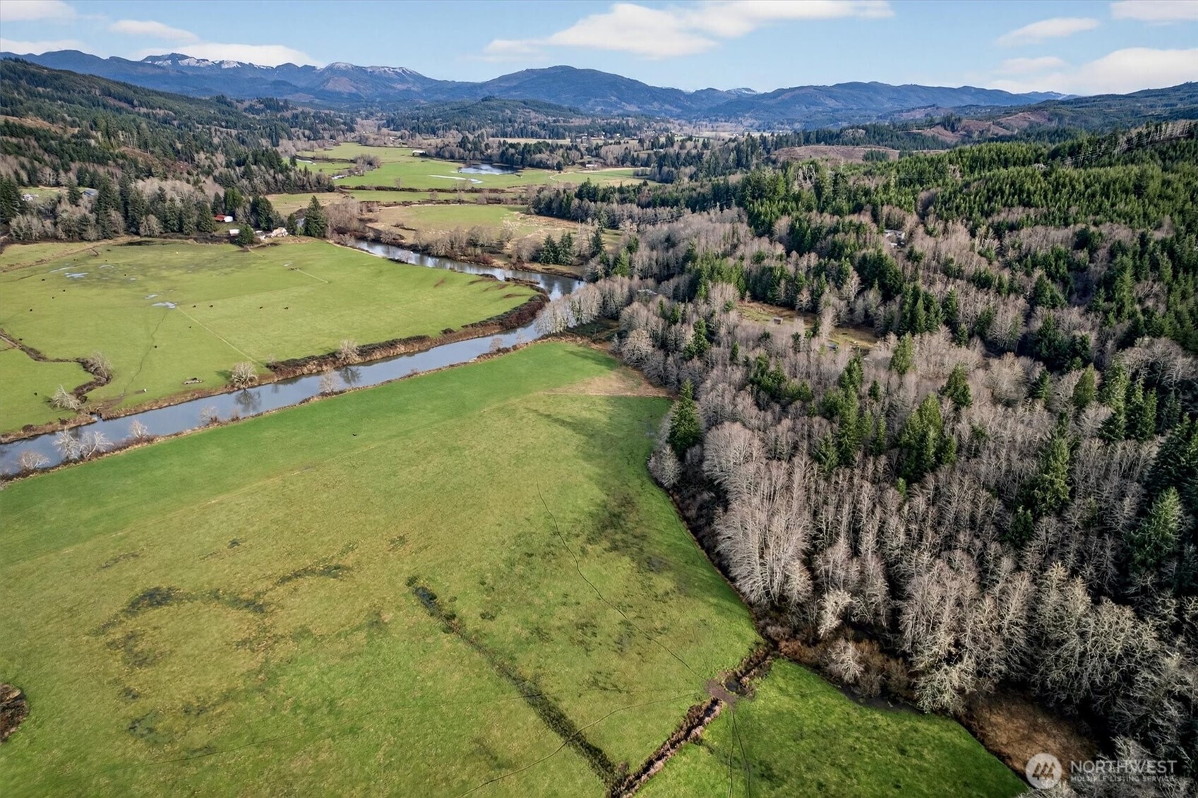 163 Barr Road Rosburg, WA 98643 - Photo 14 of 19 a view of an aerial view of residential houses with outdoor space and river