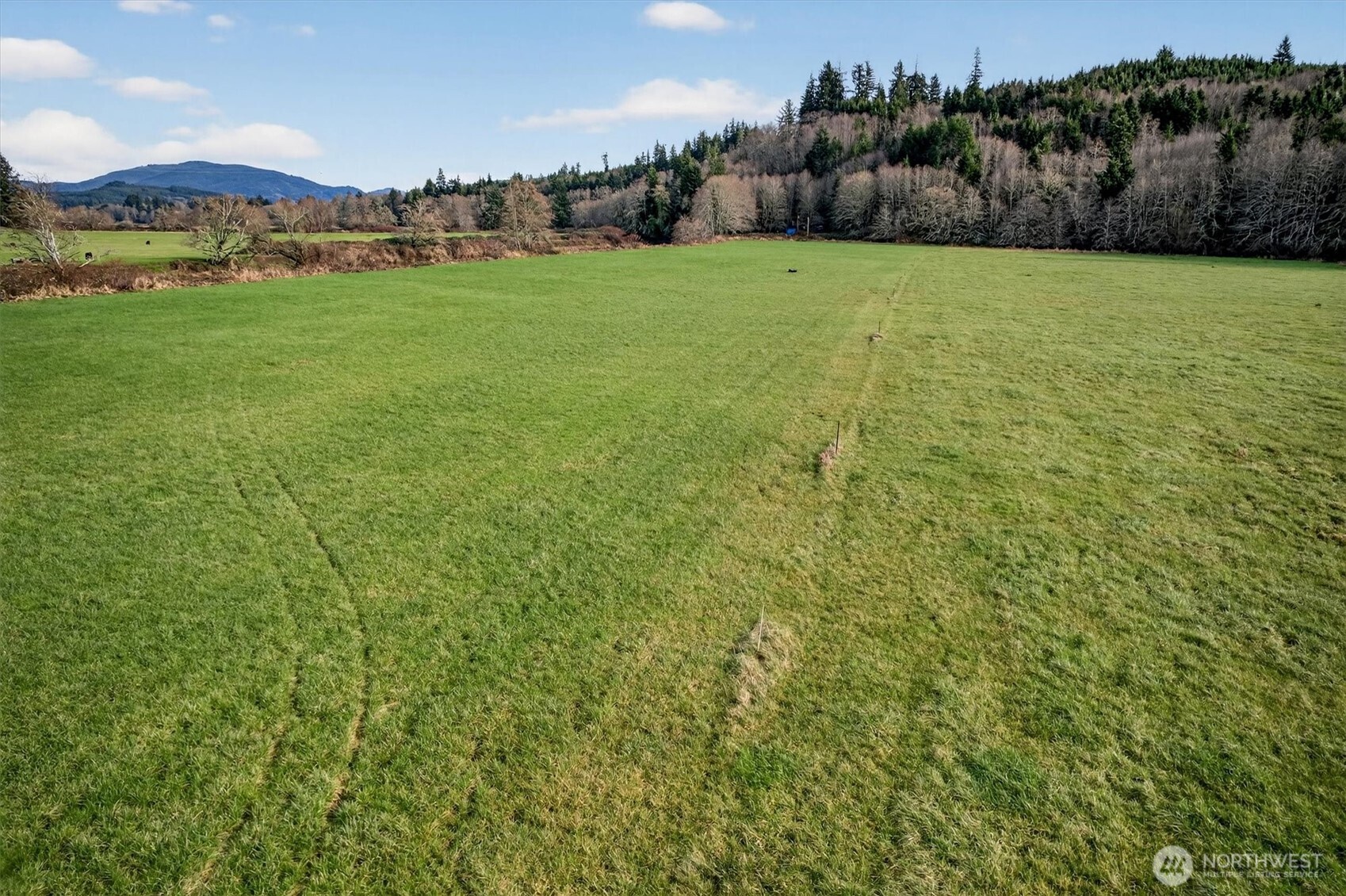 163 Barr Road Rosburg, WA 98643 - Photo 15 of 19 a view of a field with an trees