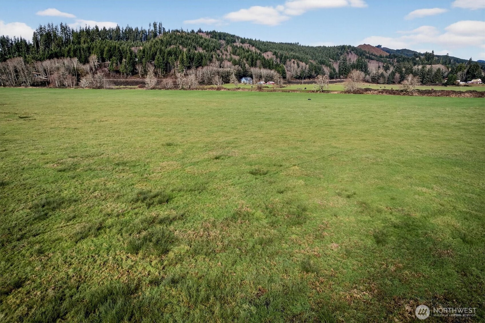 163 Barr Road Rosburg, WA 98643 - Photo 16 of 19 a view of outdoor space with green field and trees