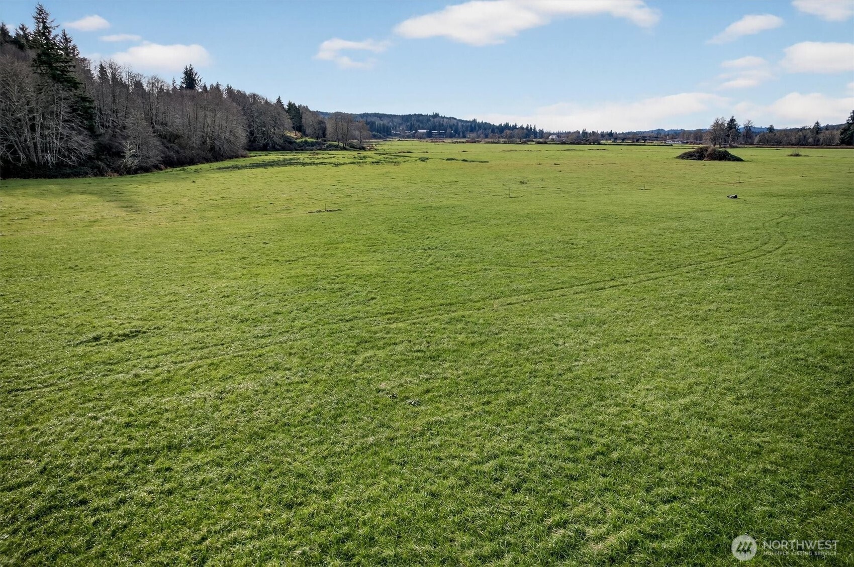 163 Barr Road Rosburg, WA 98643 - Photo 18 of 19