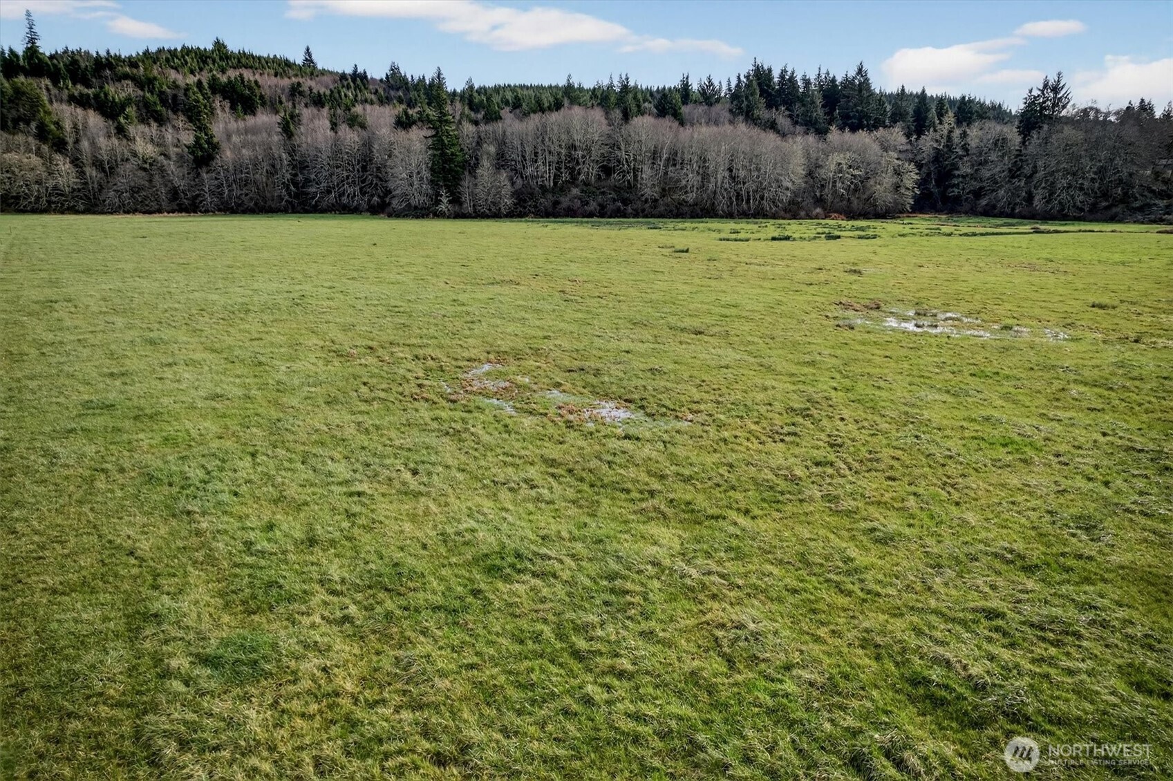 163 Barr Road Rosburg, WA 98643 - Photo 19 of 19 a view of a yard with a wall