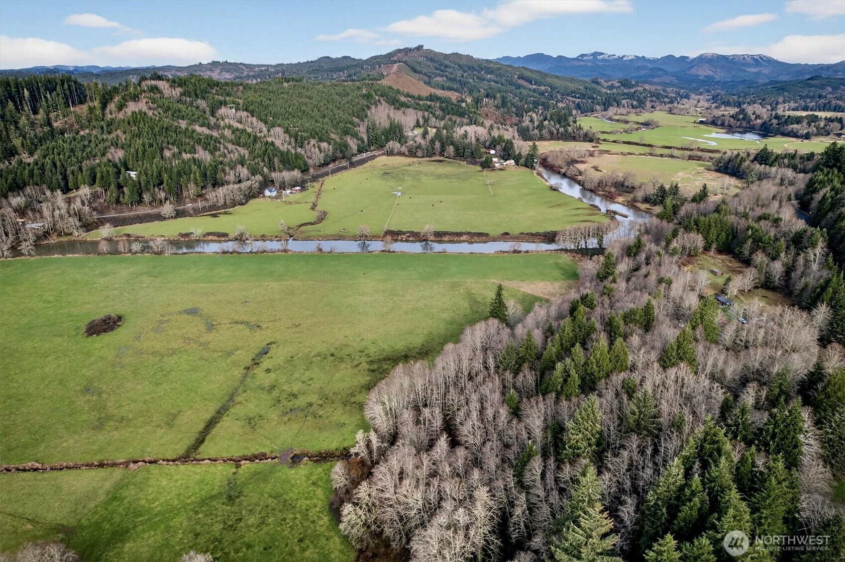 163 Barr Road Rosburg, WA 98643 - Photo 3 of 19 a view of a lake with a mountain in the background