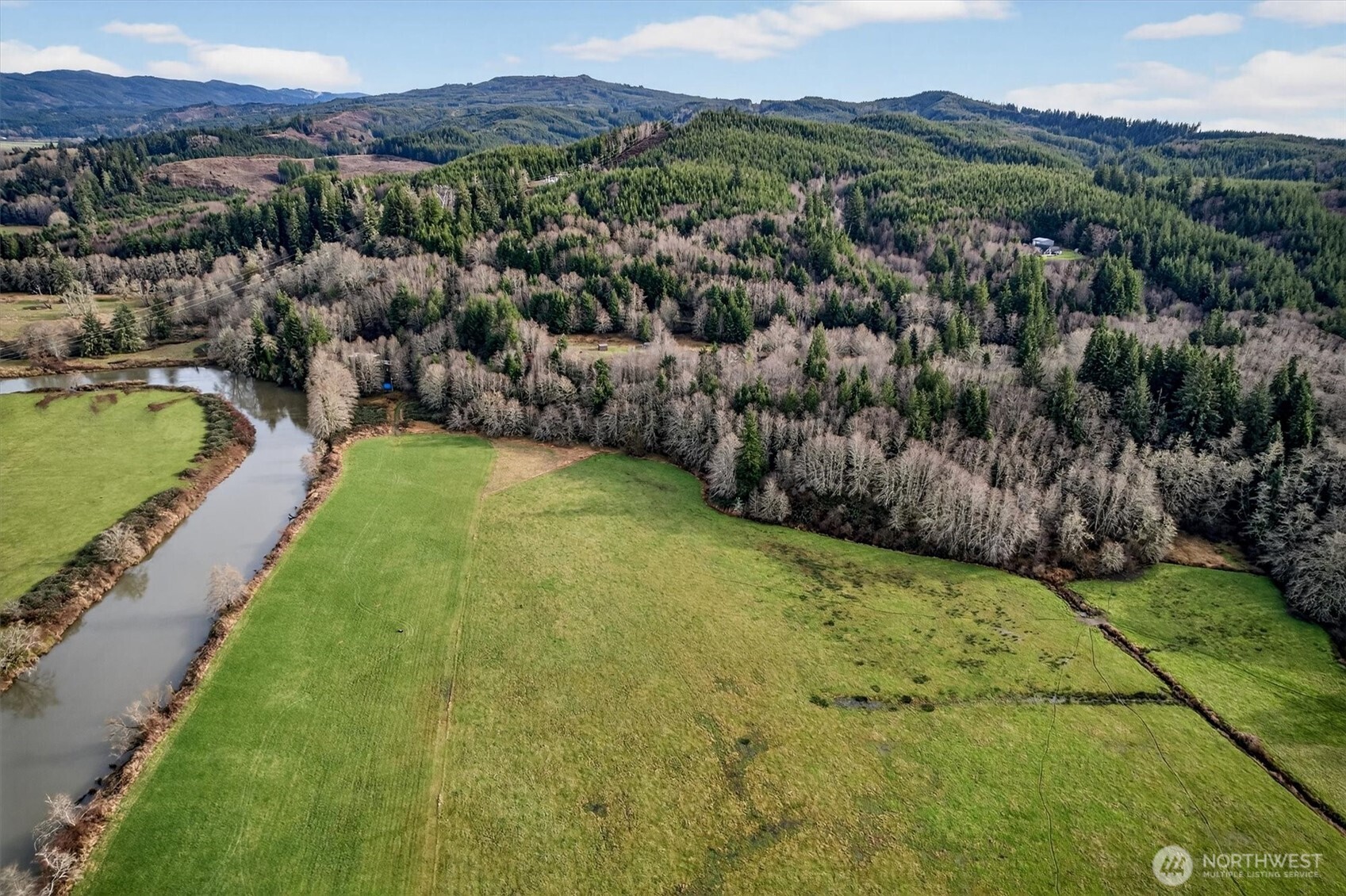 163 Barr Road Rosburg, WA 98643 - Photo 7 of 19 a view of a lush green hillside and houses