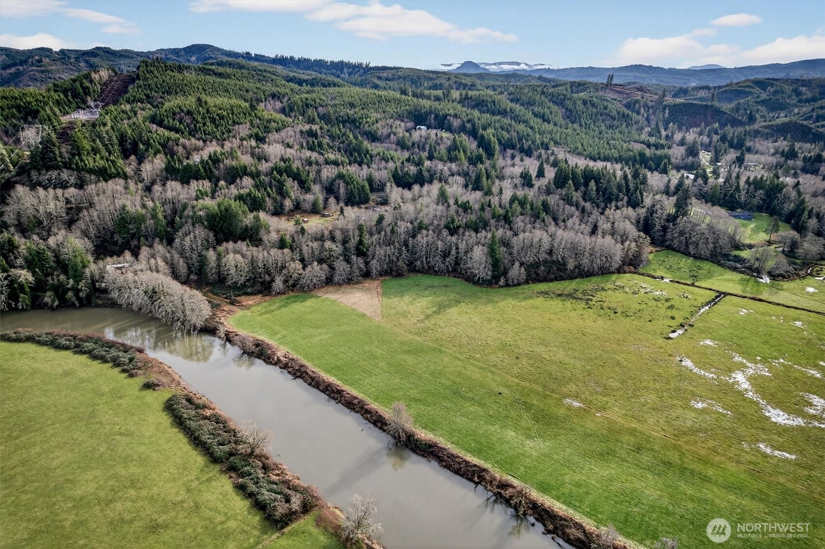 163 Barr Road Rosburg, WA 98643 - Photo 8 of 19 a view of a lush green hillside and a grassy area