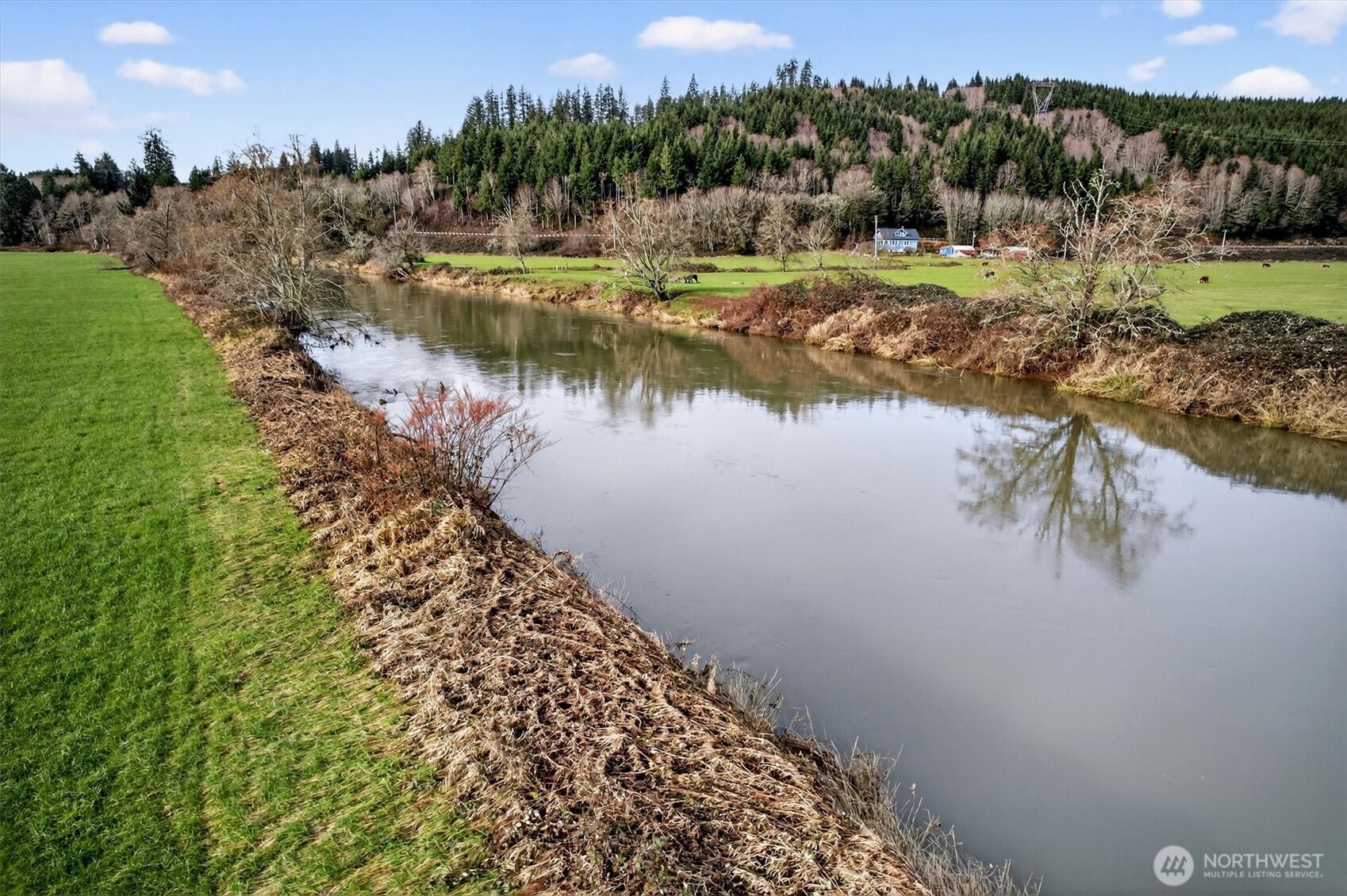 163 Barr Road Rosburg, WA 98643 - Photo 9 of 19 a view of a lake with houses in the back