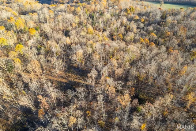 $419,900 | 9241 Bcr 834 Marble Hill, Marble Hill, MO 63764