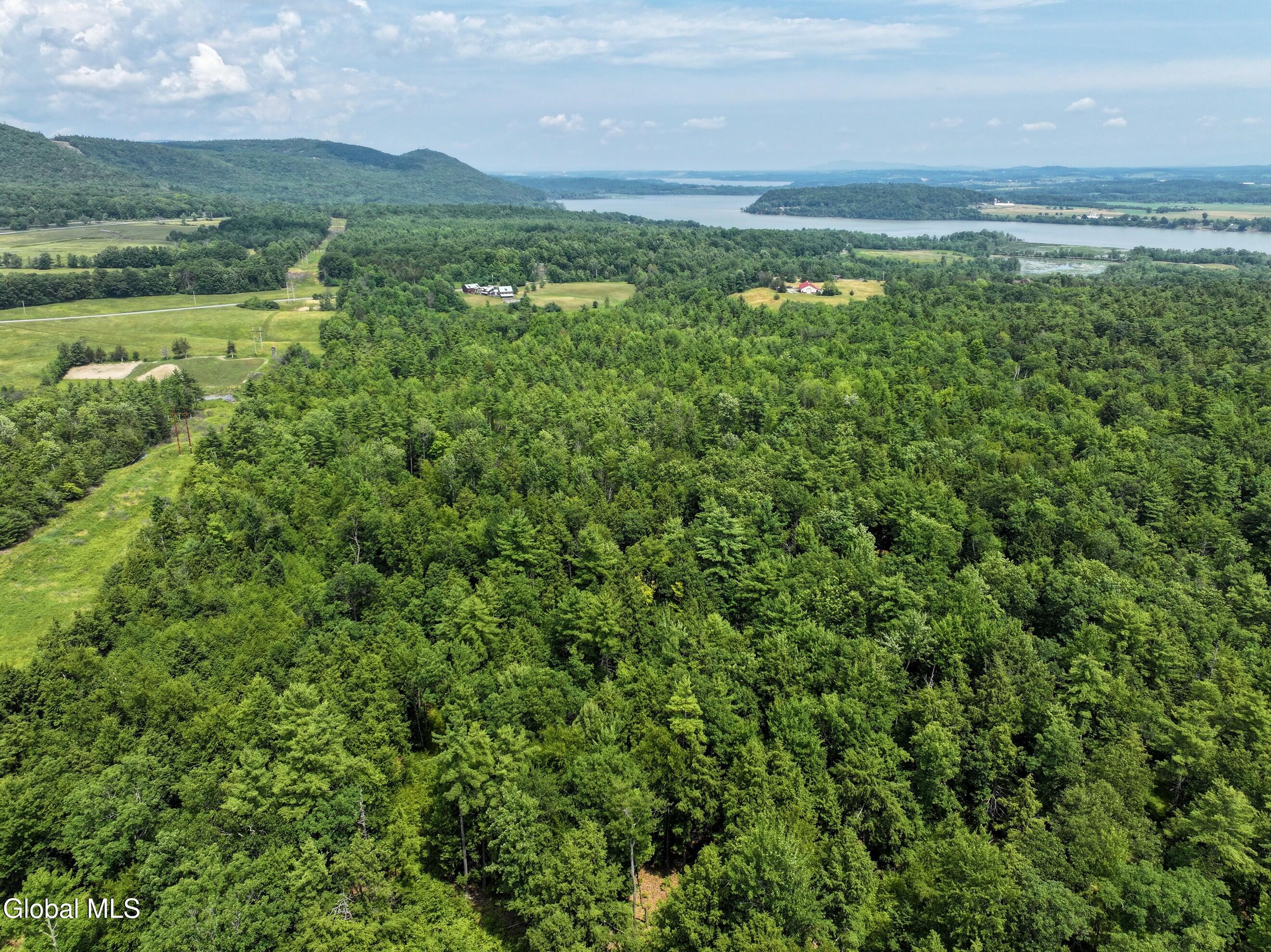 128 Craig Road Putnam, NY 12861 - Photo 46 of 78 DJI_20250711120605_0375_D-2 (Copy)