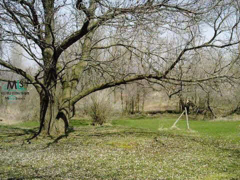 8496 Rattle Run Road Columbus, MI 48063 - Photo 5 of 9 31053112-4.JPG