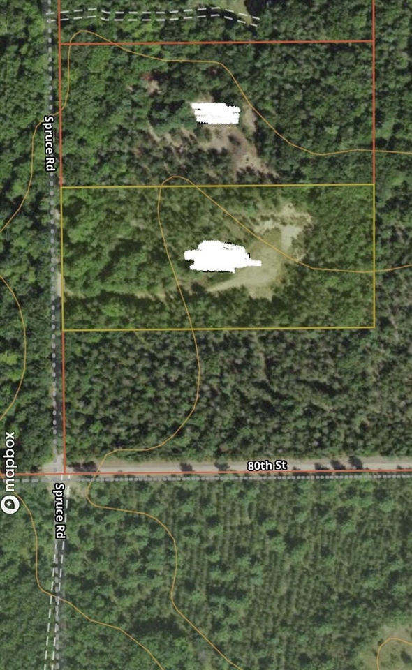 9910 South Spruce Road Idlewild, MI 49642 - Photo 1 of 1