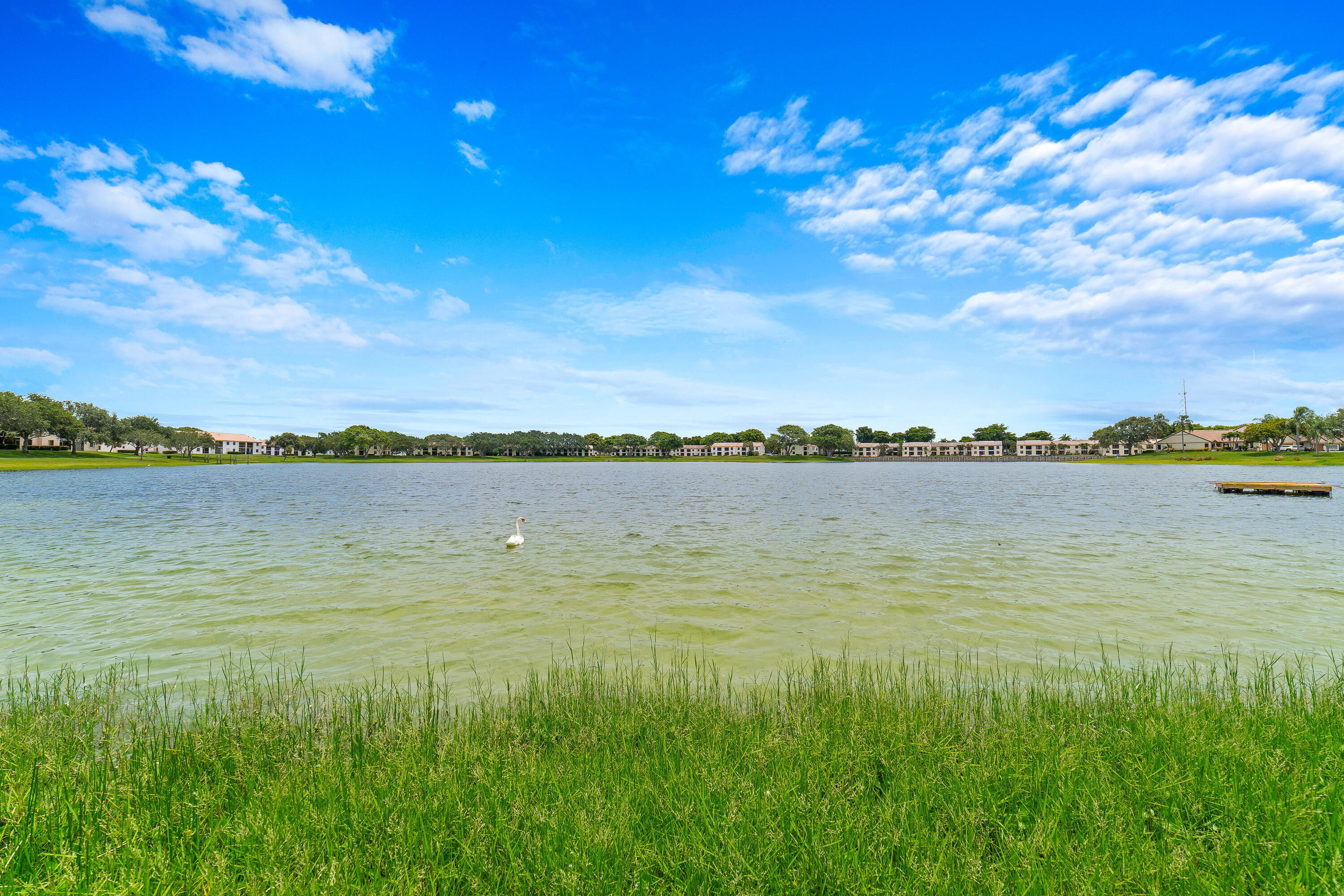 3151 Leewood Terrace, Unit L228 Boca Raton, FL 33431 - Photo 58 of 61 DSC02703