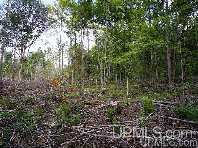 40-acres Co Rd 467 Germfask, MI 49836 - Photo 12 of 22