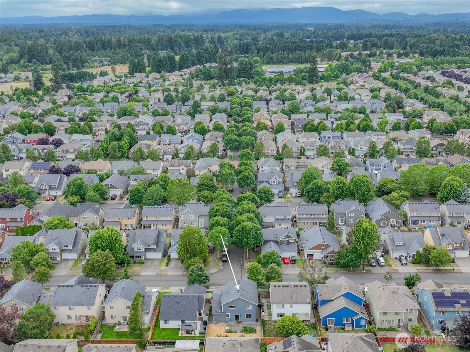 6974 Bailey Street Southeast Lacey, WA 98513 - Photo 37 of 37