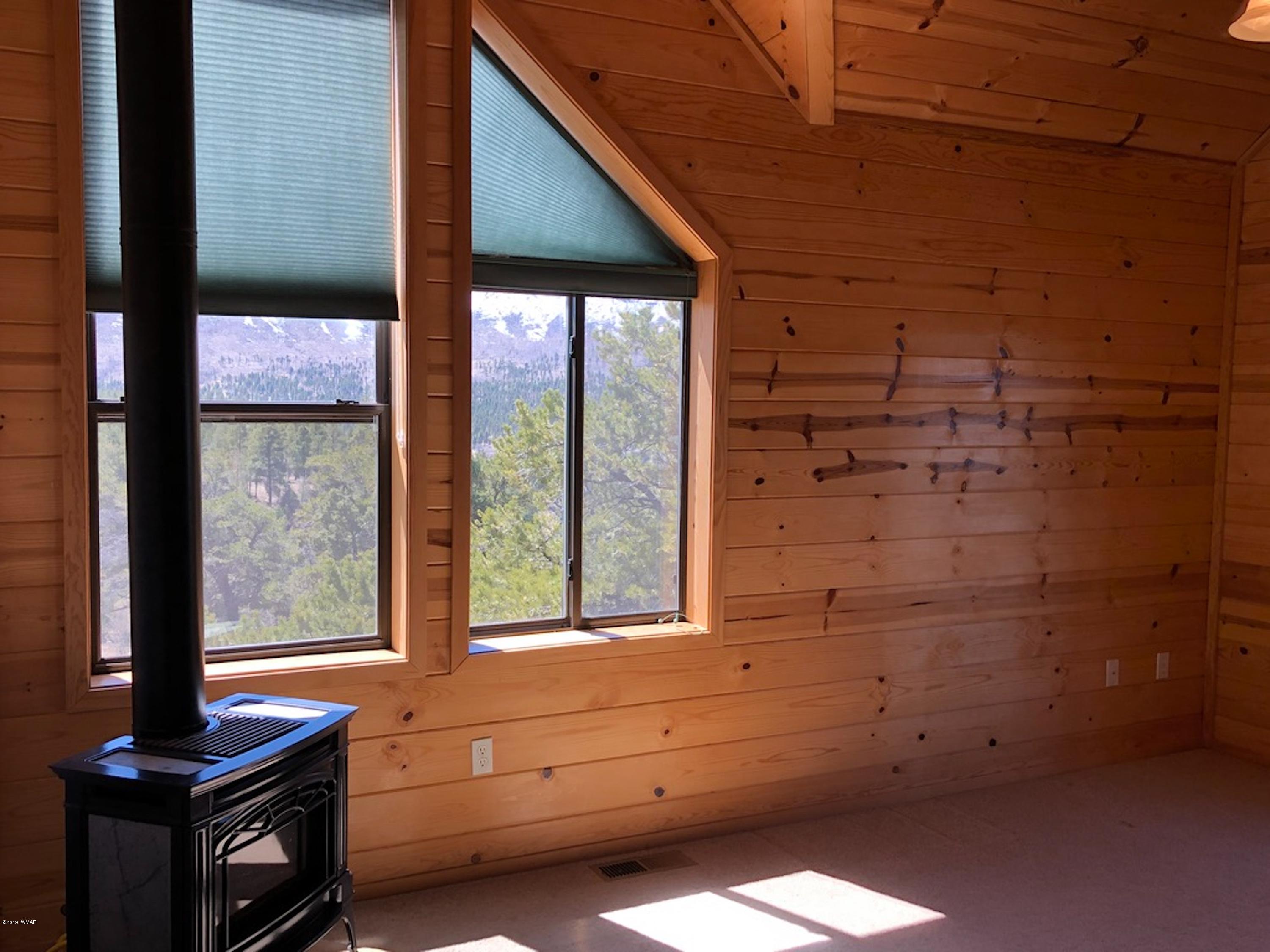 22 Co Road Springerville, AZ 85938 - Photo 26 of 93