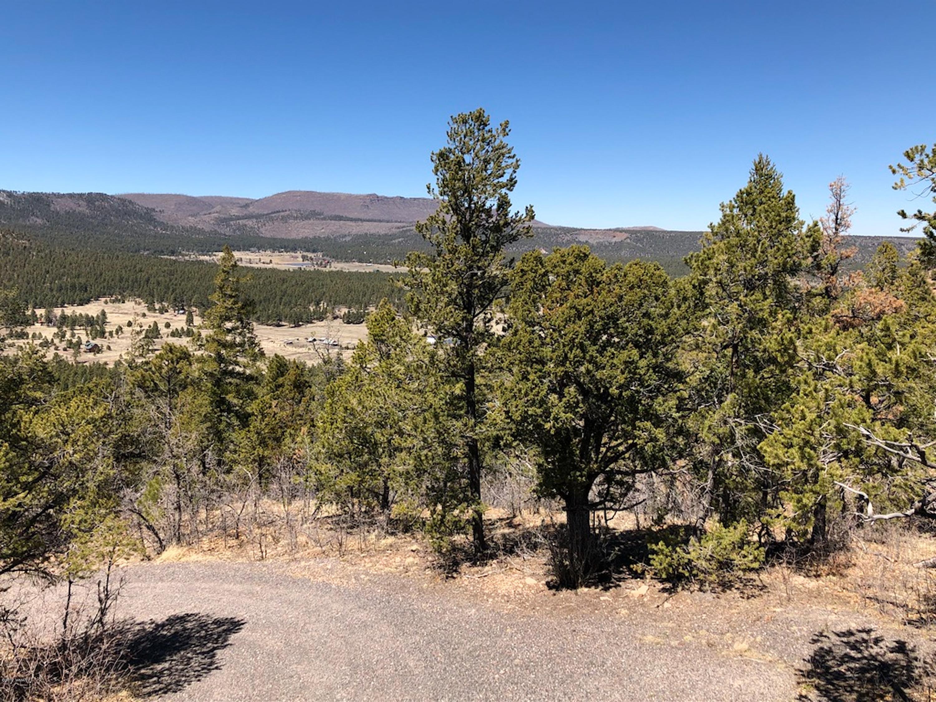 22 Co Road Springerville, AZ 85938 - Photo 31 of 93