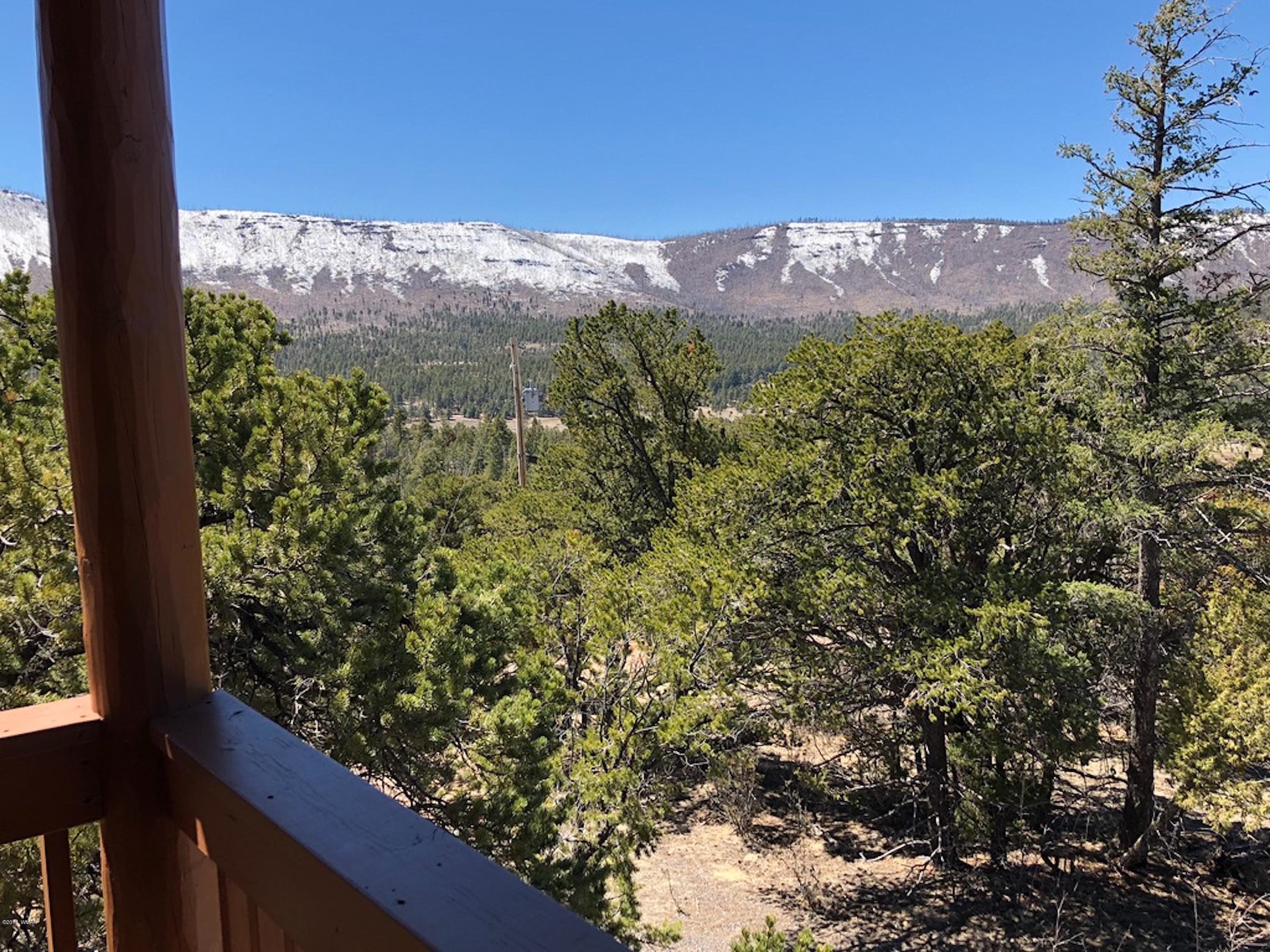 22 Co Road Springerville, AZ 85938 - Photo 33 of 93