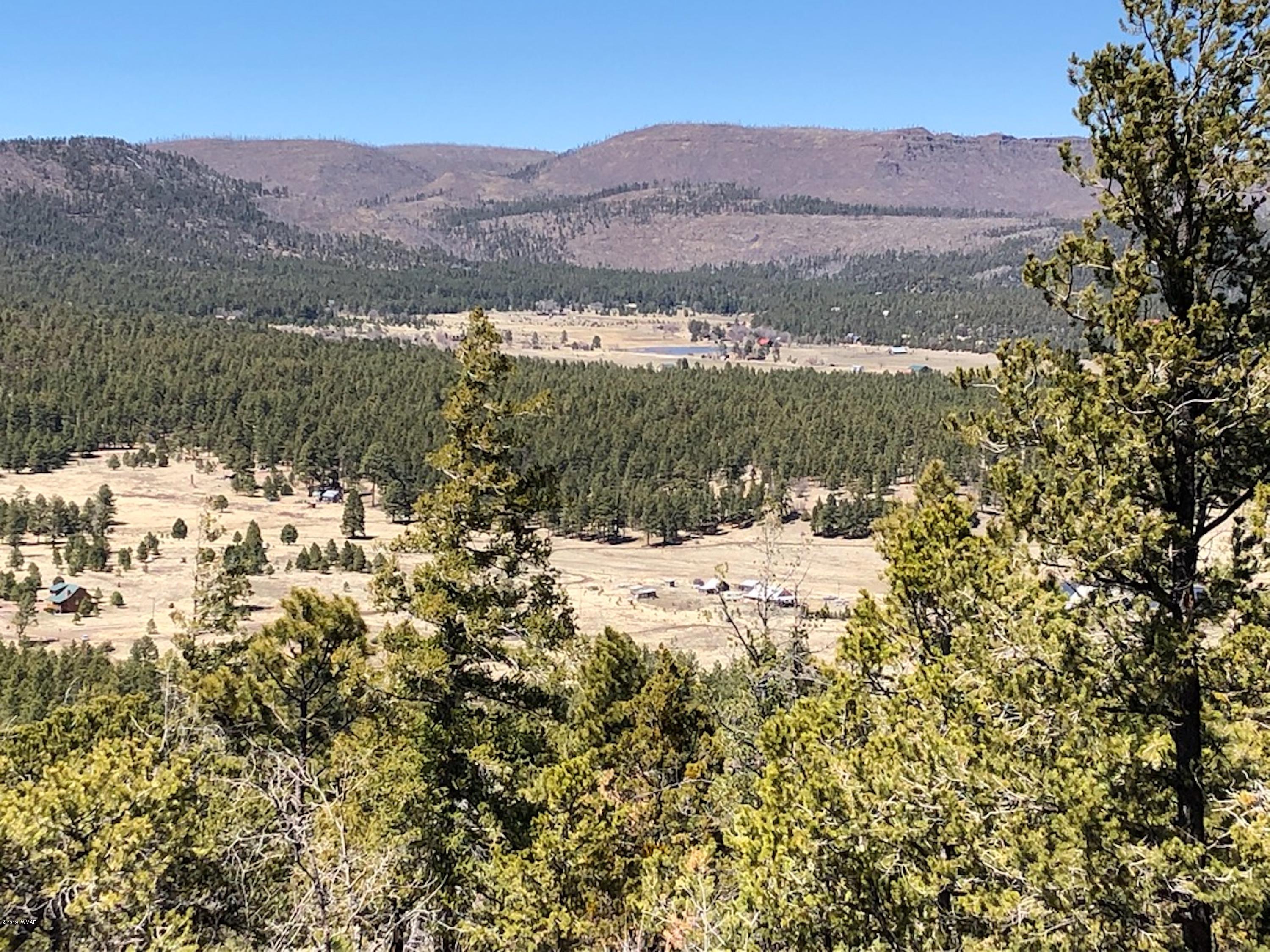 22 Co Road Springerville, AZ 85938 - Photo 36 of 93