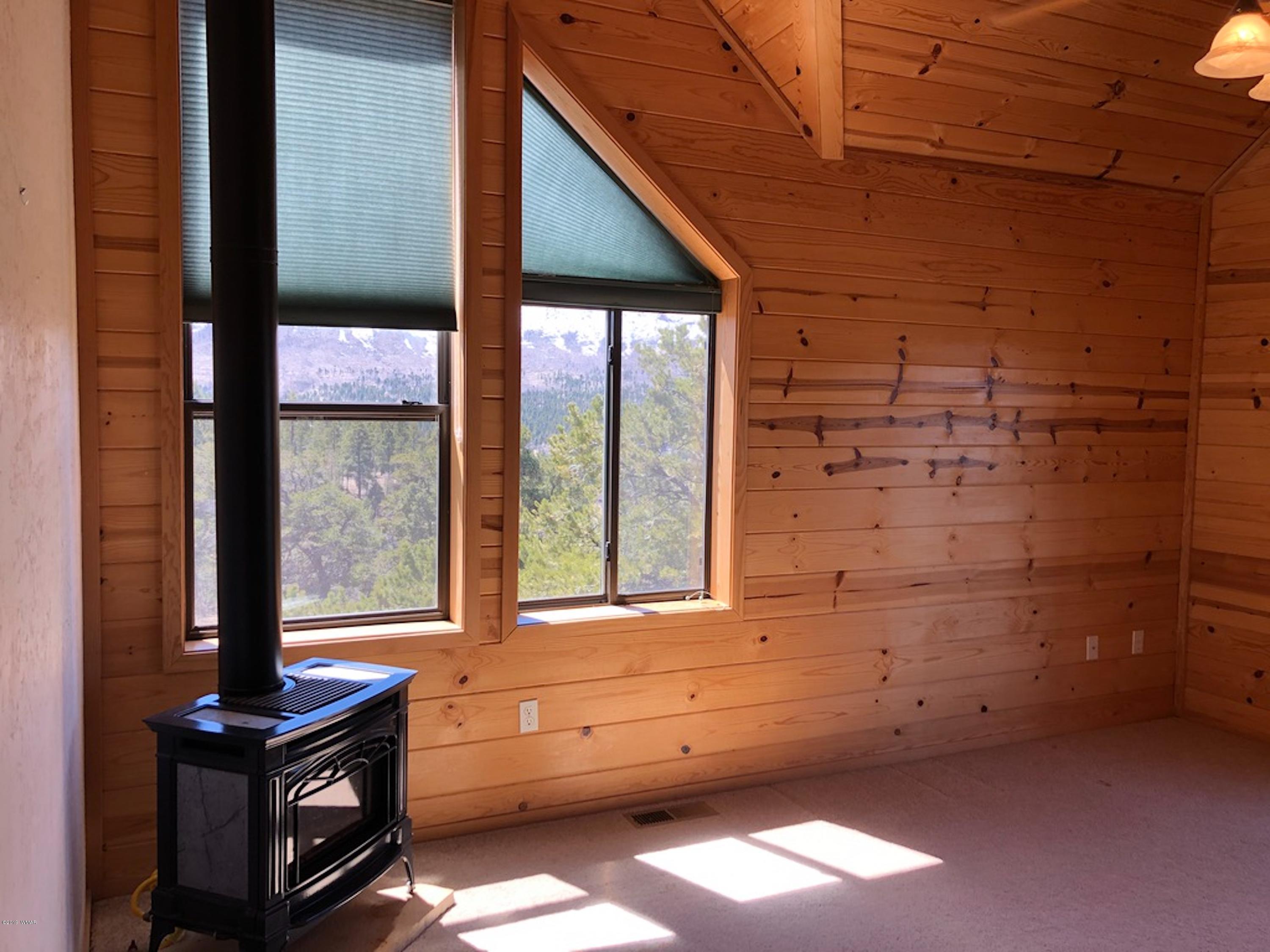 22 Co Road Springerville, AZ 85938 - Photo 41 of 93