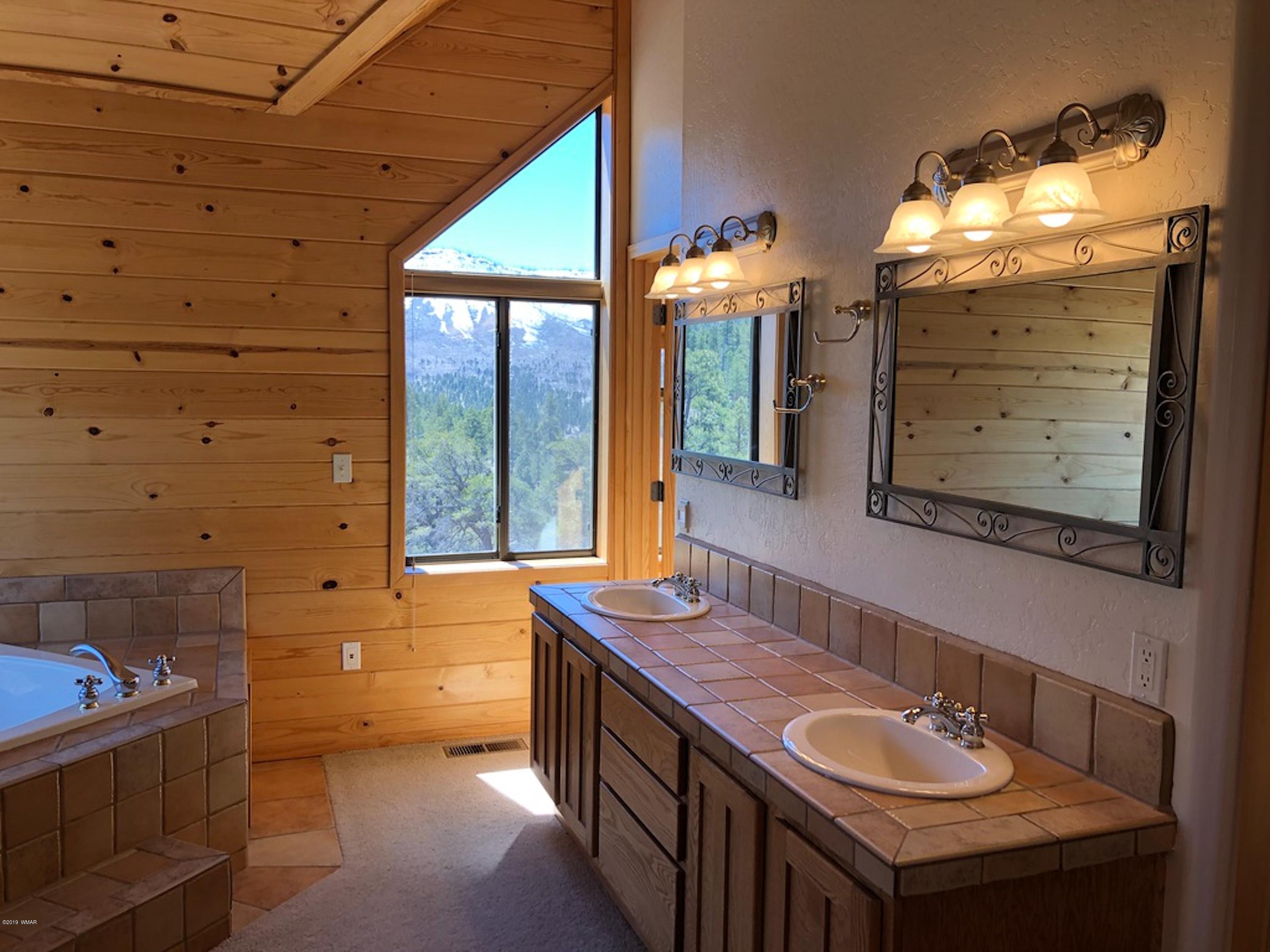 22 Co Road Springerville, AZ 85938 - Photo 44 of 93