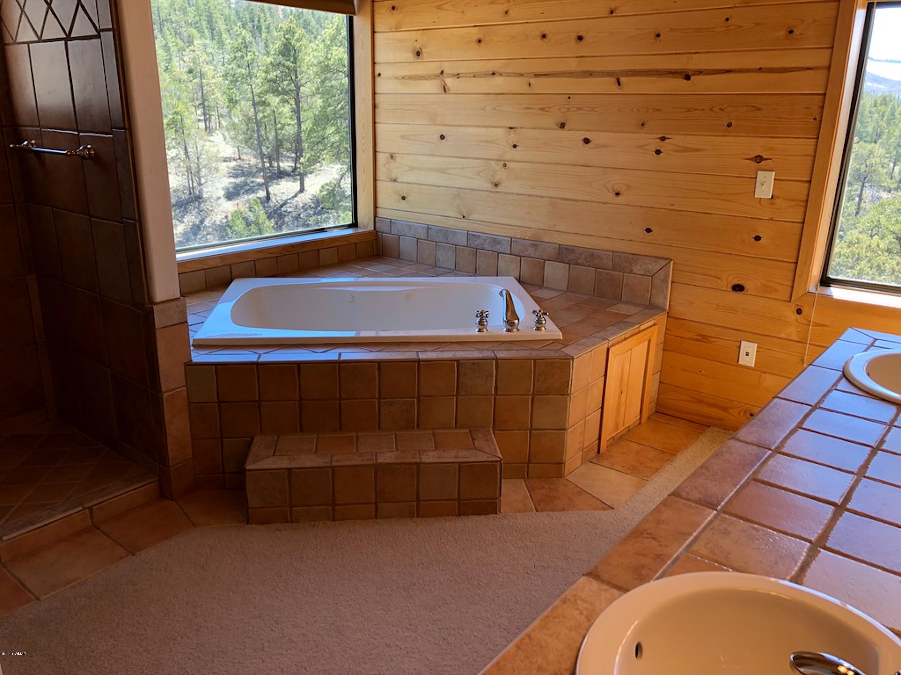 22 Co Road Springerville, AZ 85938 - Photo 45 of 93
