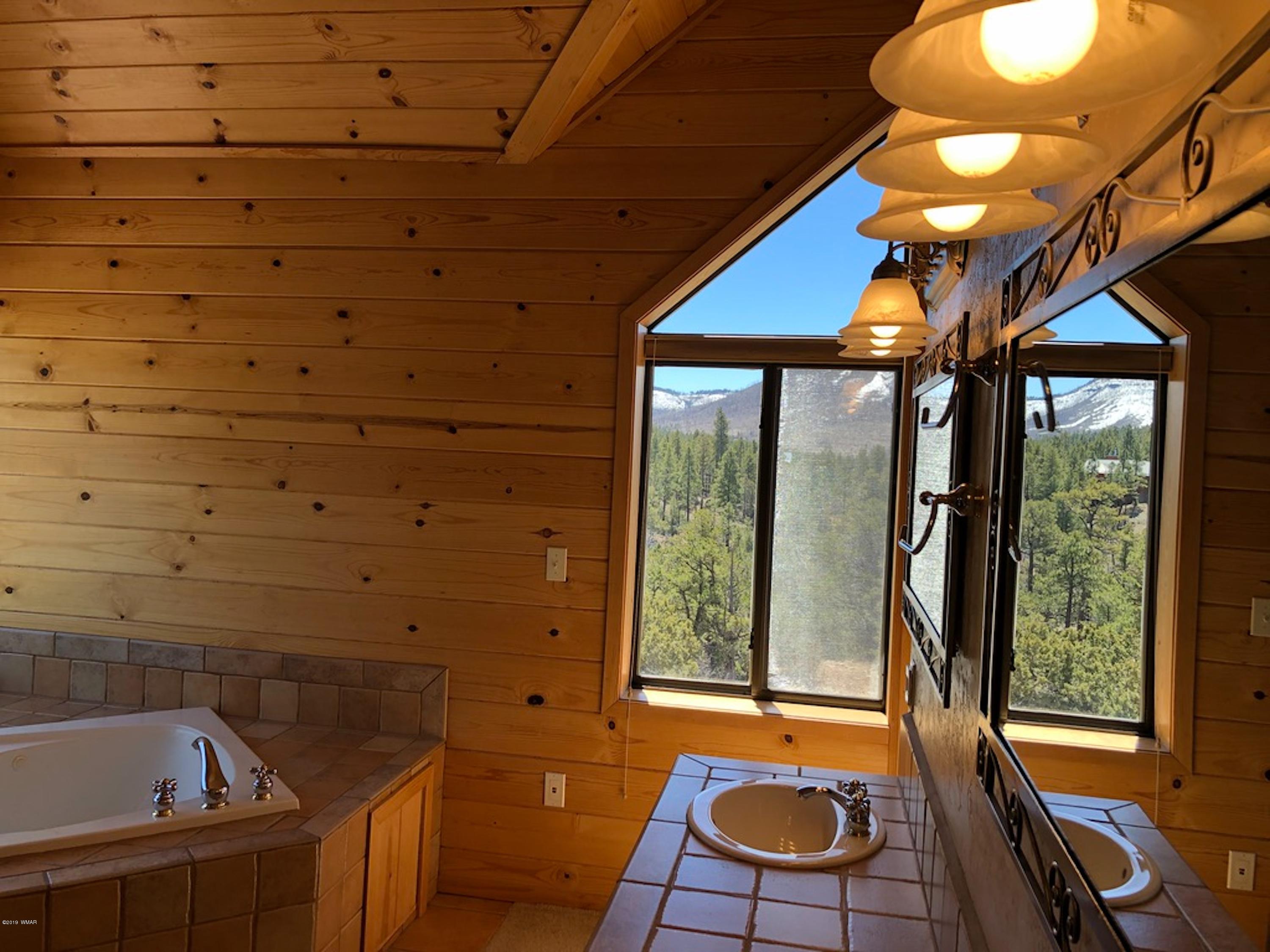22 Co Road Springerville, AZ 85938 - Photo 46 of 93