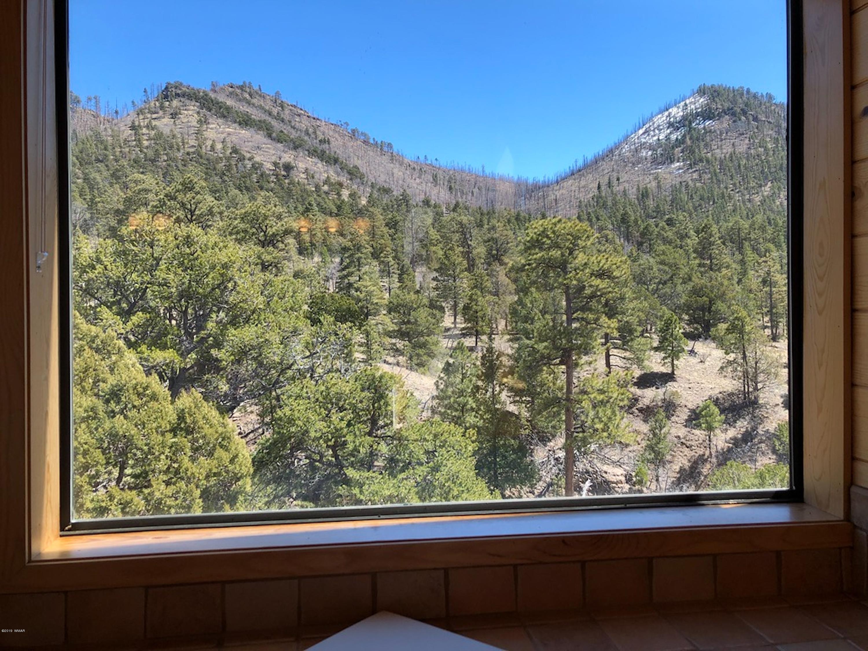 22 Co Road Springerville, AZ 85938 - Photo 47 of 93