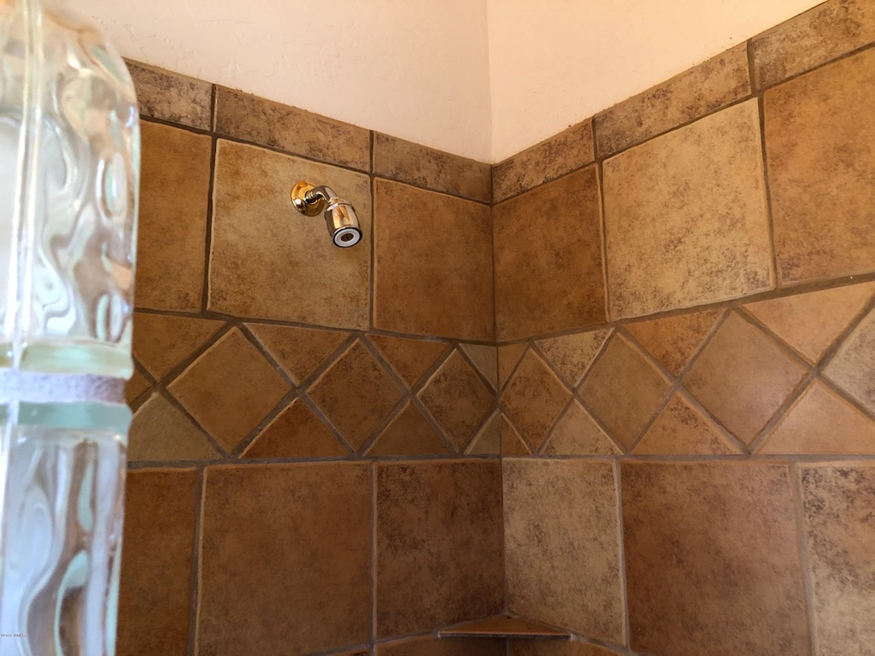 22 Co Road Springerville, AZ 85938 - Photo 54 of 93