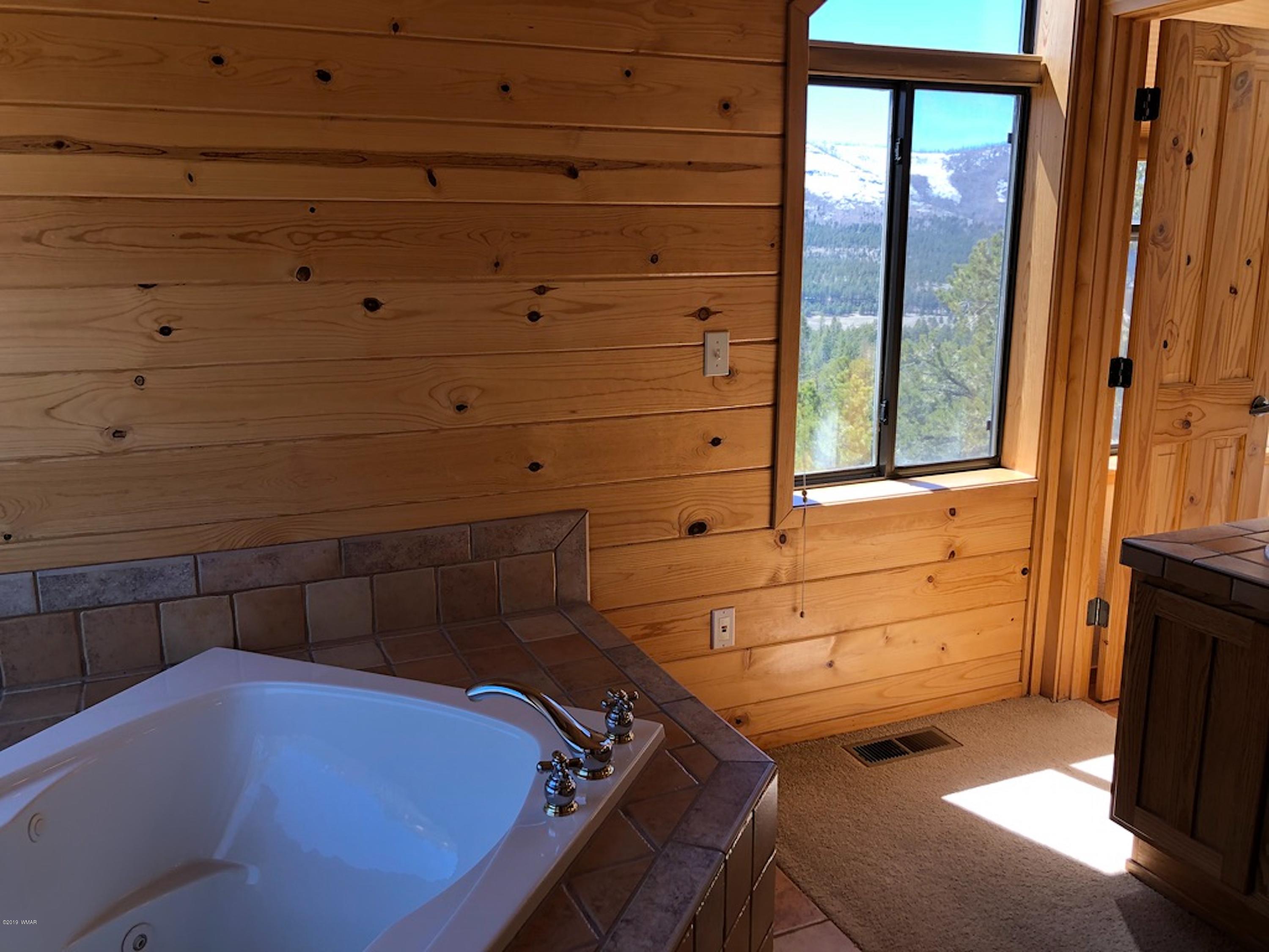 22 Co Road Springerville, AZ 85938 - Photo 59 of 93