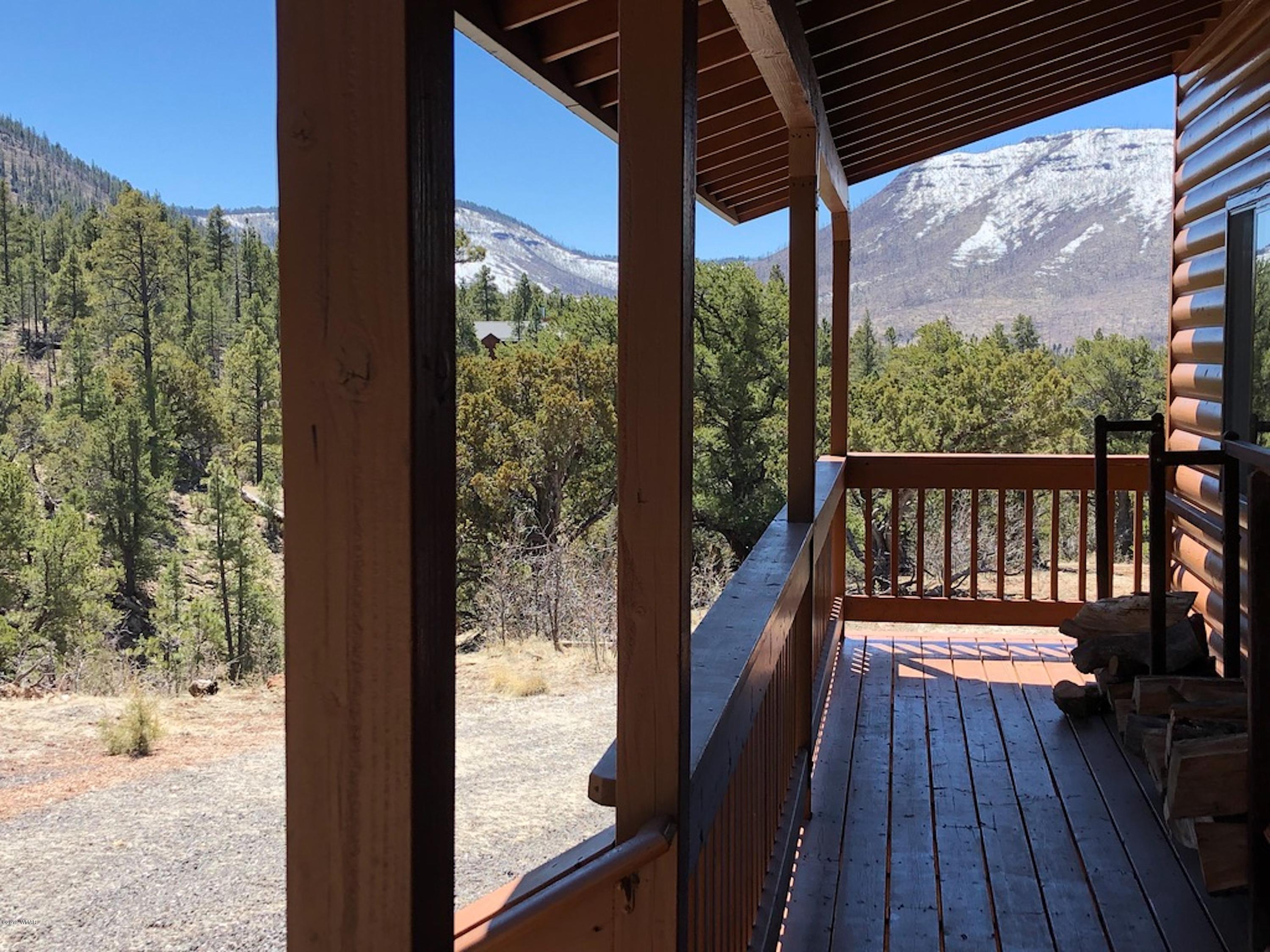 22 Co Road Springerville, AZ 85938 - Photo 67 of 93