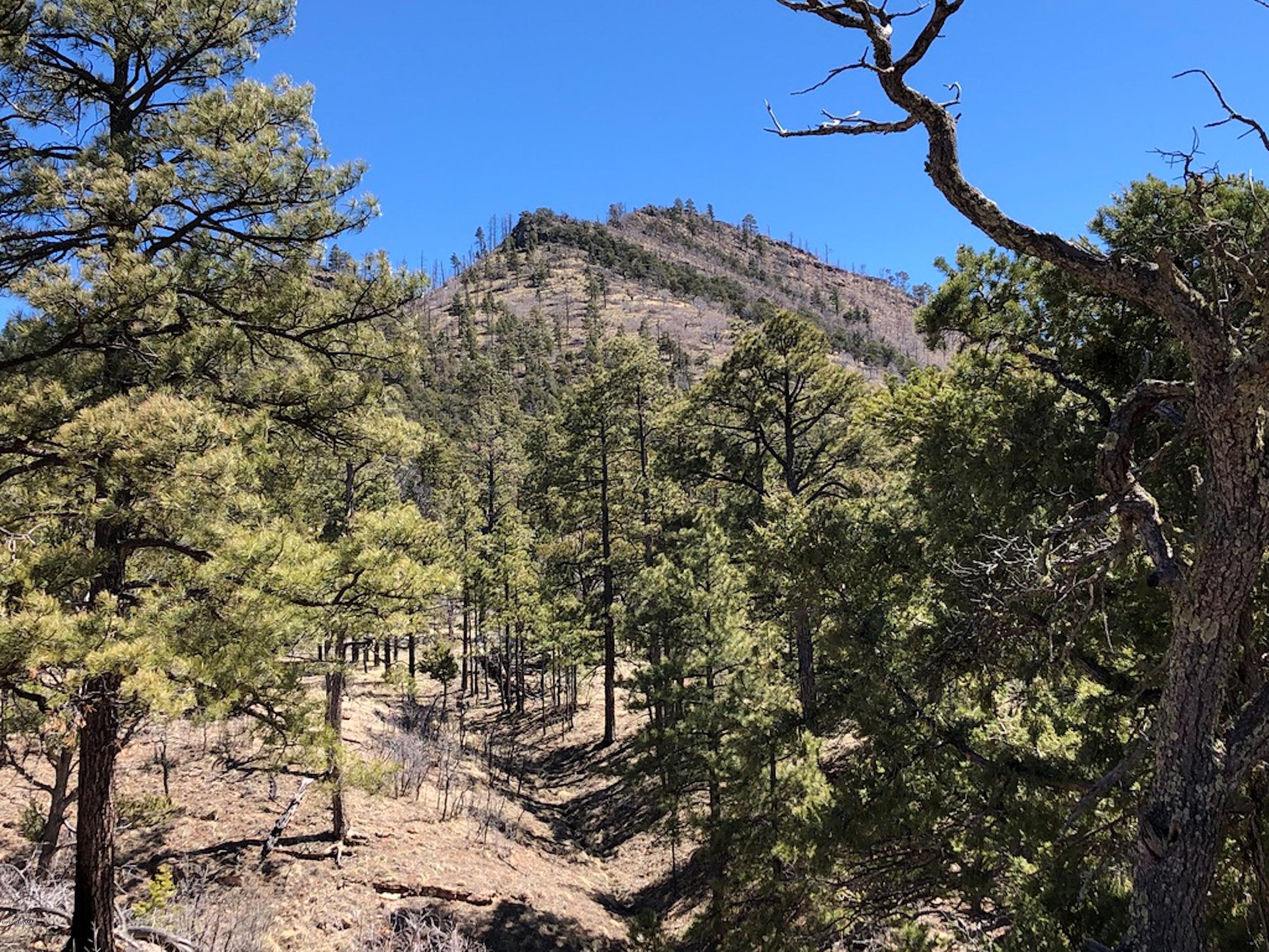 22 Co Road Springerville, AZ 85938 - Photo 68 of 93