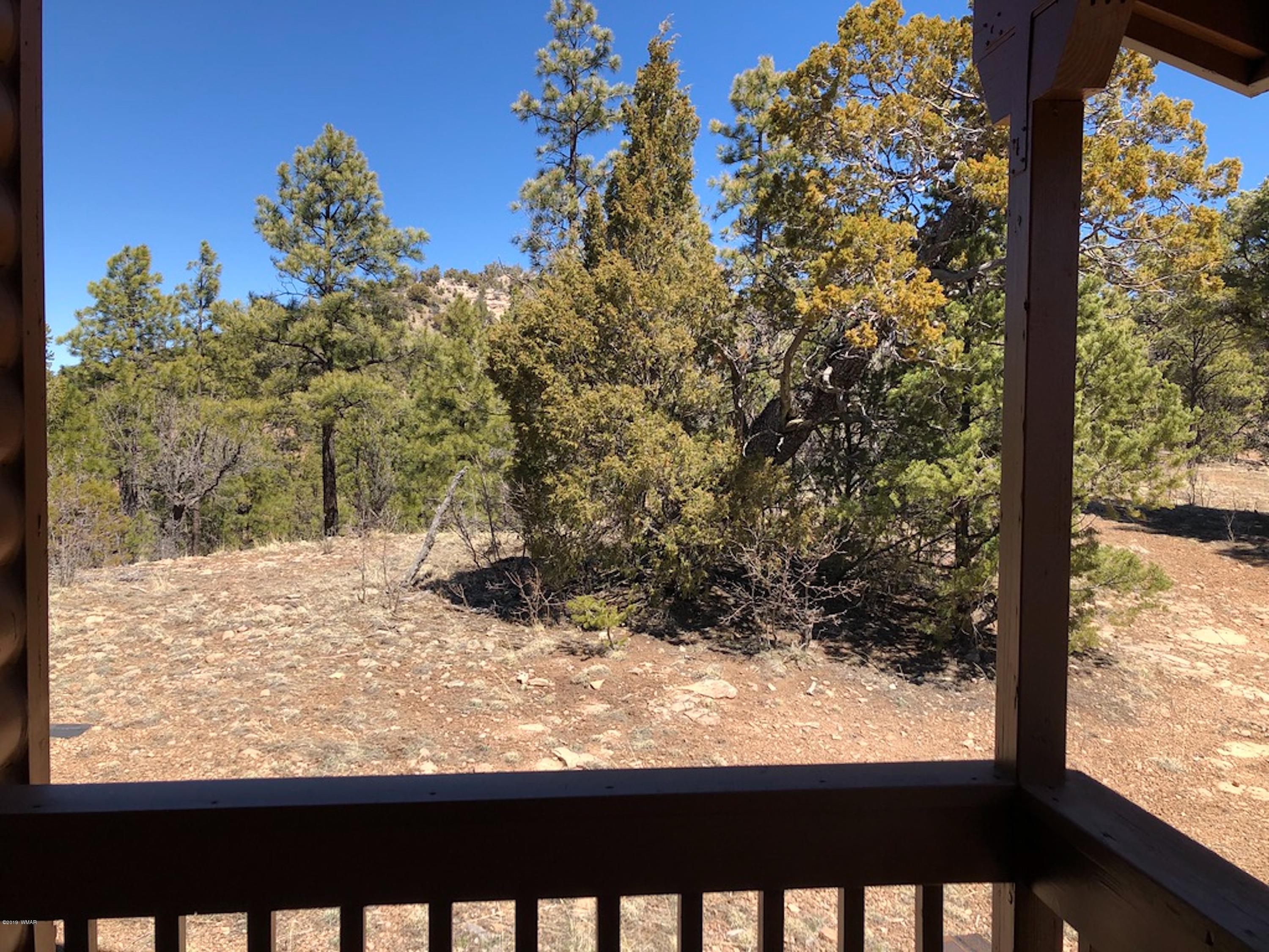 22 Co Road Springerville, AZ 85938 - Photo 69 of 93