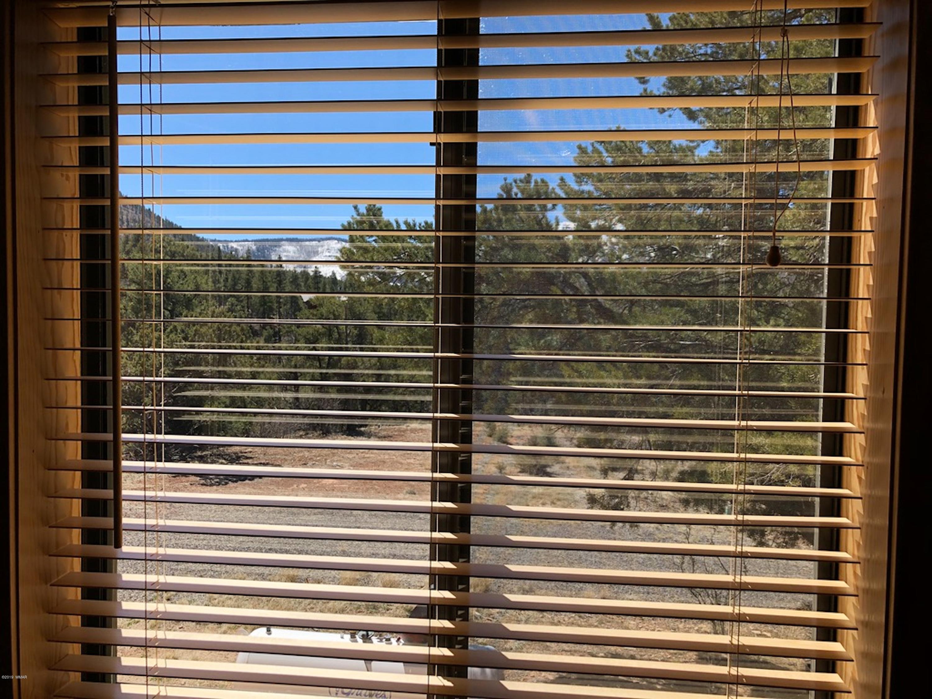 22 Co Road Springerville, AZ 85938 - Photo 72 of 93