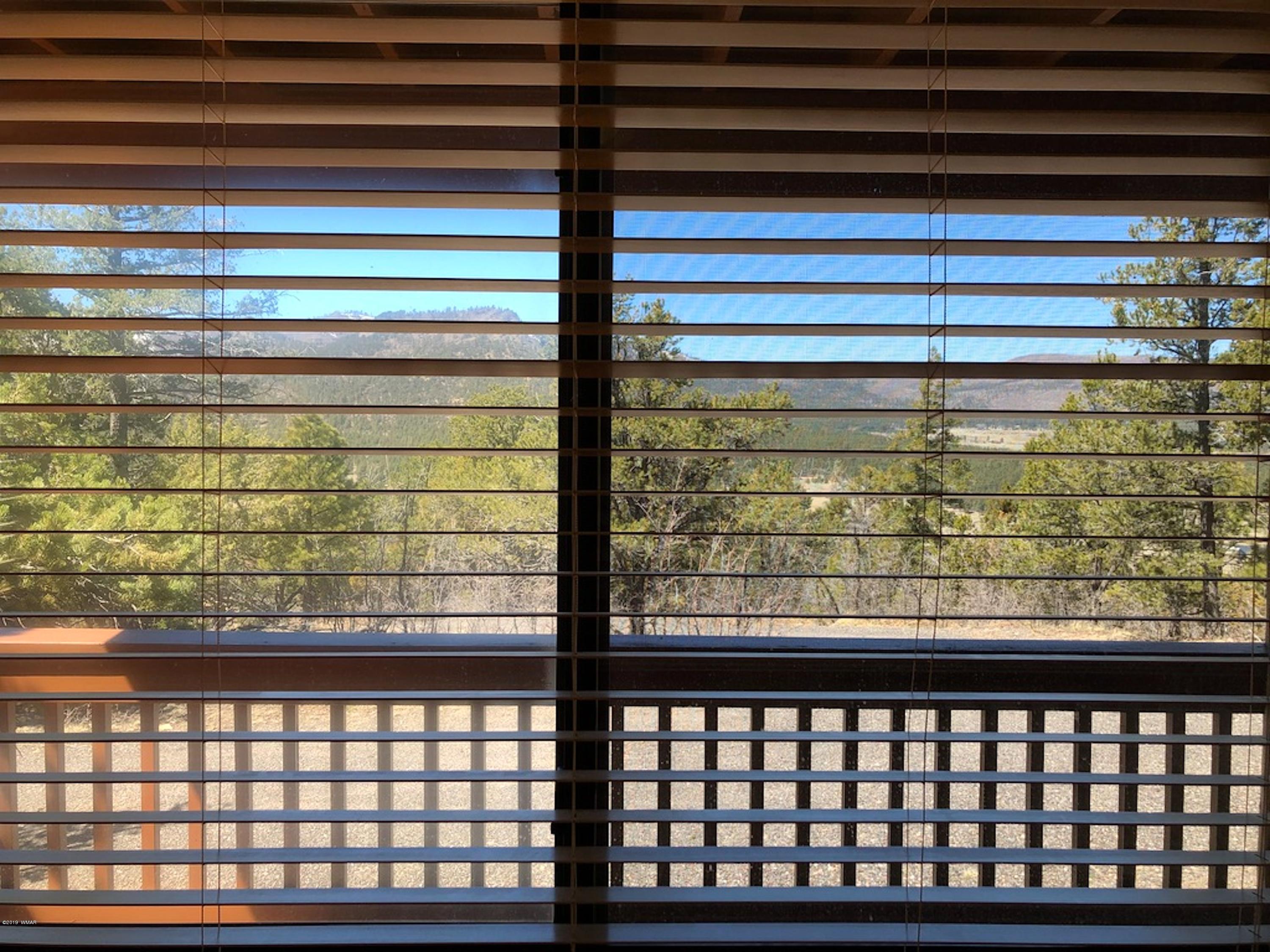 22 Co Road Springerville, AZ 85938 - Photo 73 of 93