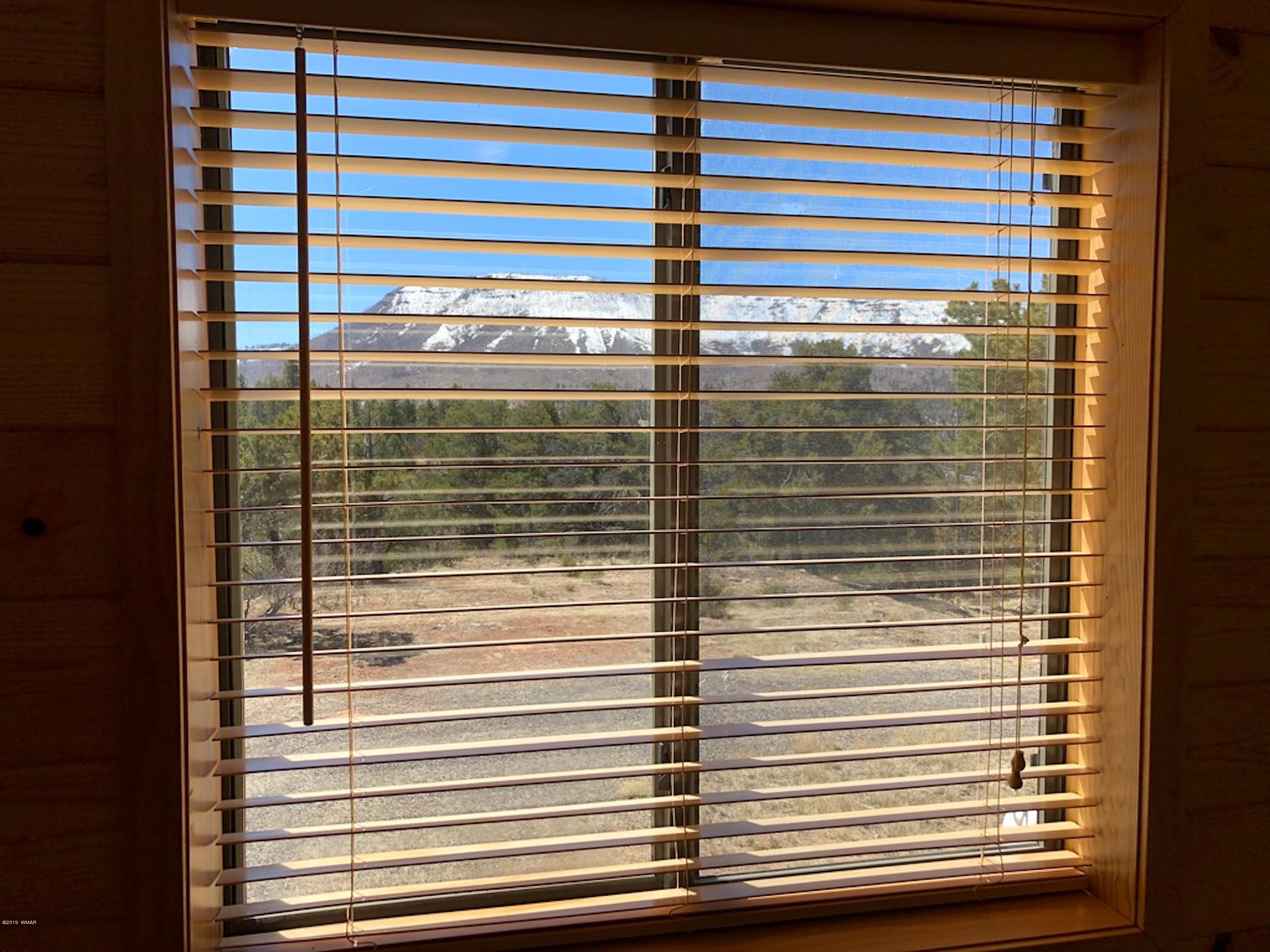 22 Co Road Springerville, AZ 85938 - Photo 83 of 93