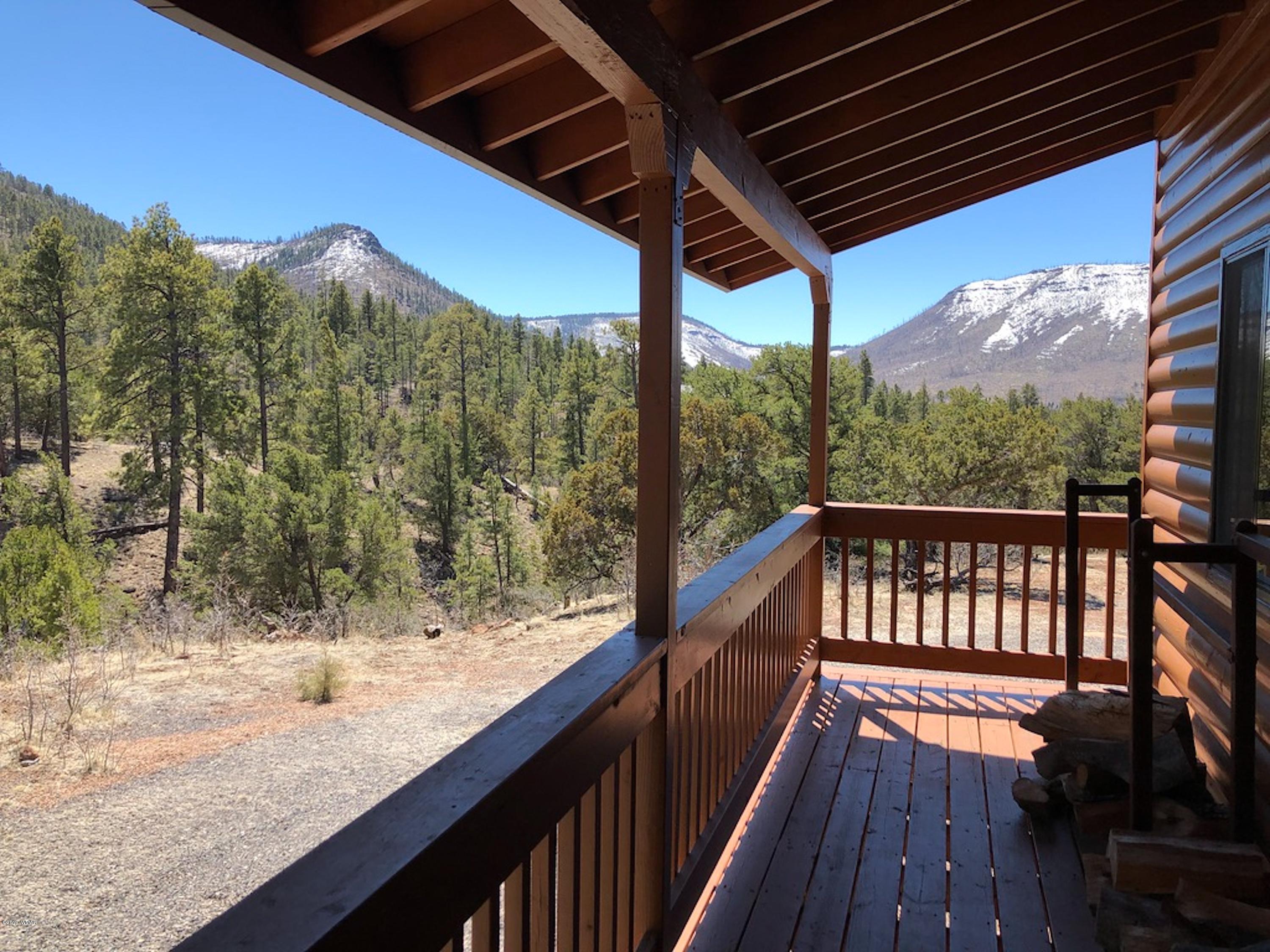 22 Co Road Springerville, AZ 85938 - Photo 92 of 93