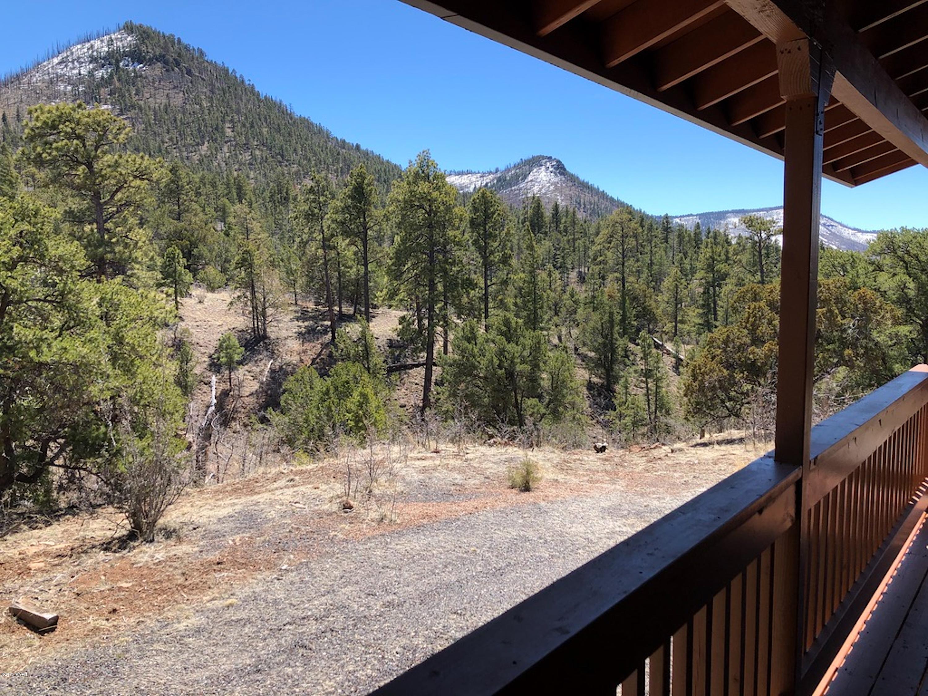 22 Co Road Springerville, AZ 85938 - Photo 93 of 93