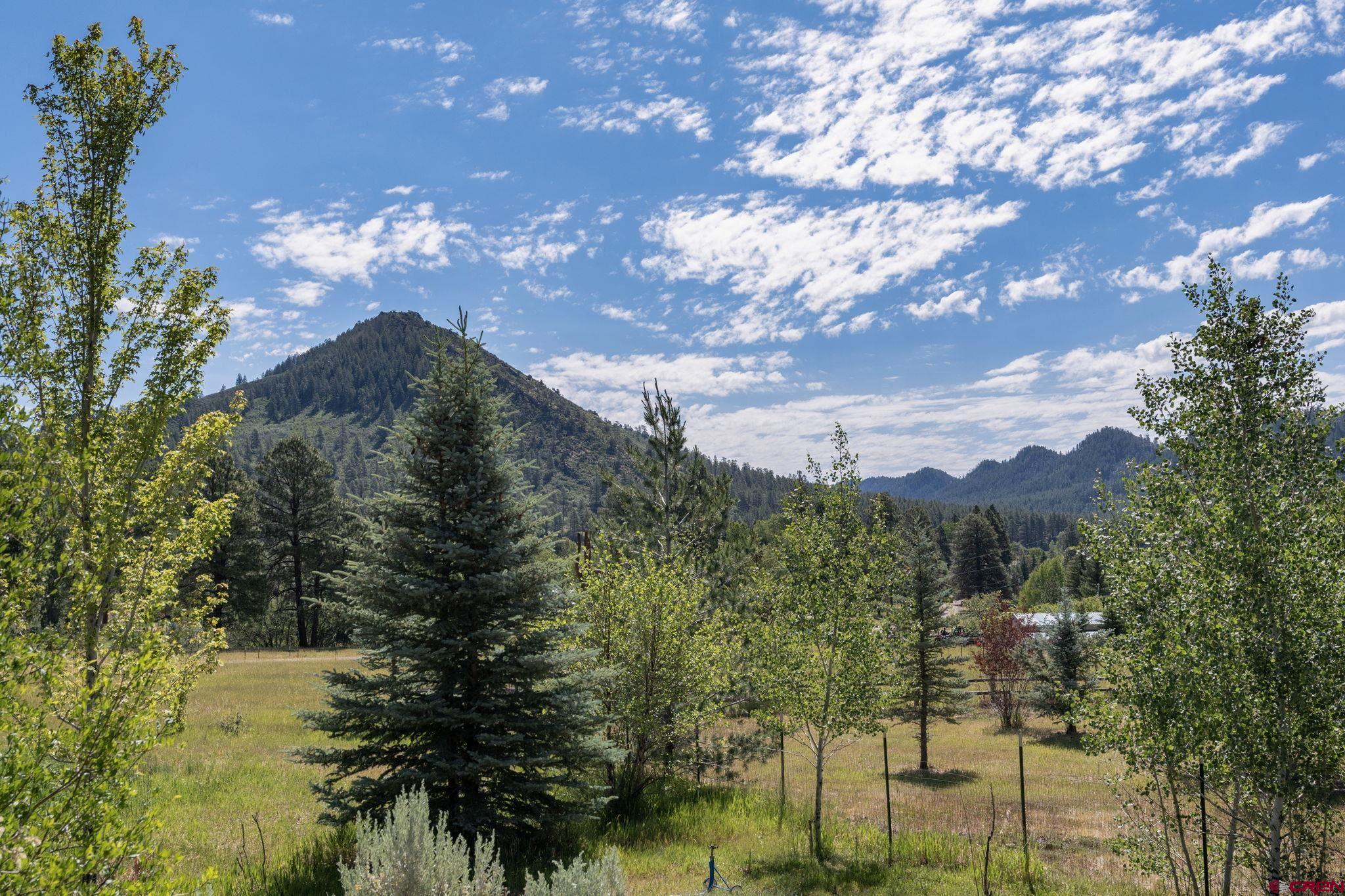 900 Pine River Ranch Circle Bayfield, CO 81122 - Photo 5 of 39
